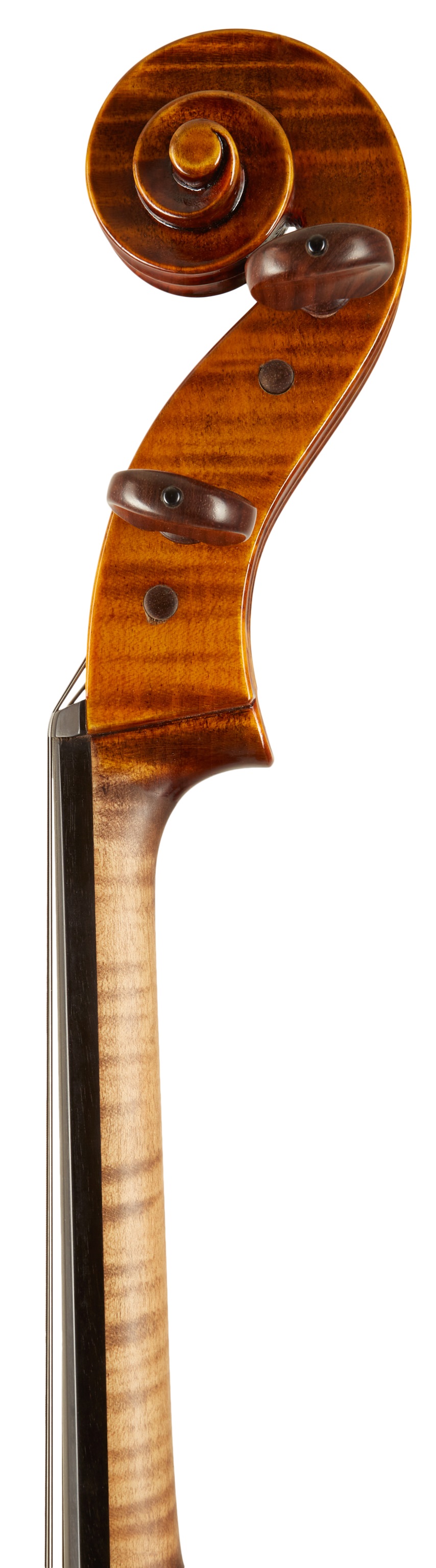 Maestro Instrument Petr Rácz Violoncello anno 2015 (obrázek 8)