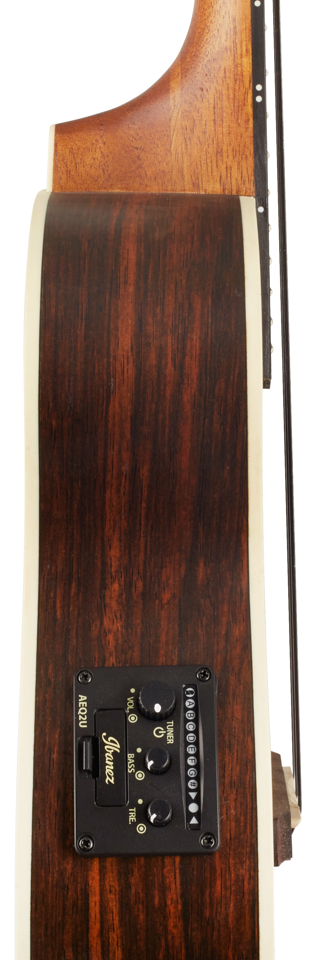 Ibanez UEW13MEE Drak Brown (obrázek 4)