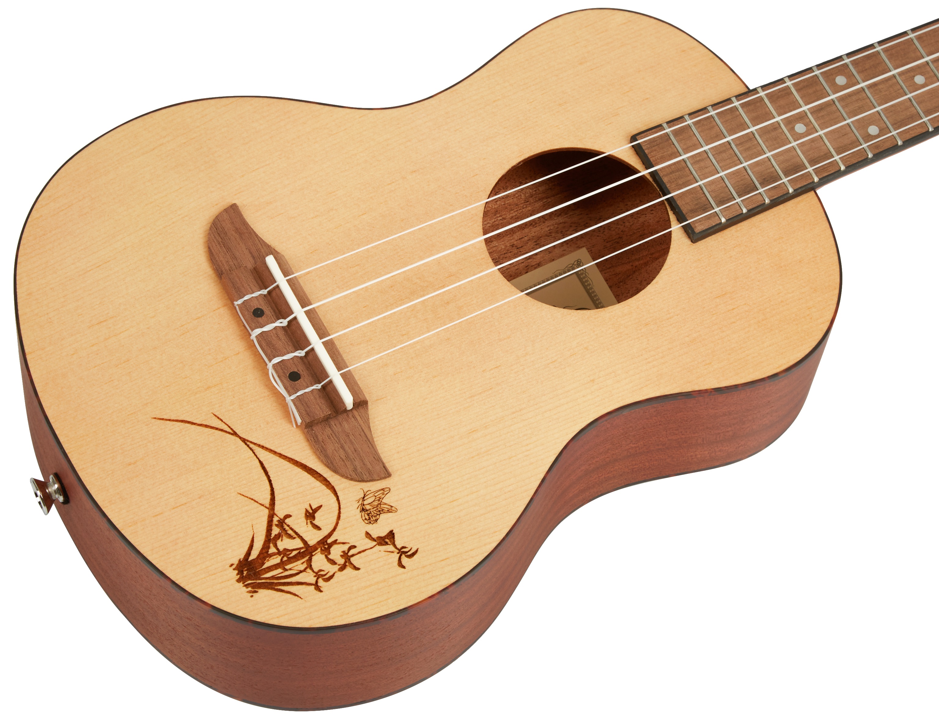 Ortega RU5-TE (obrázek 3)