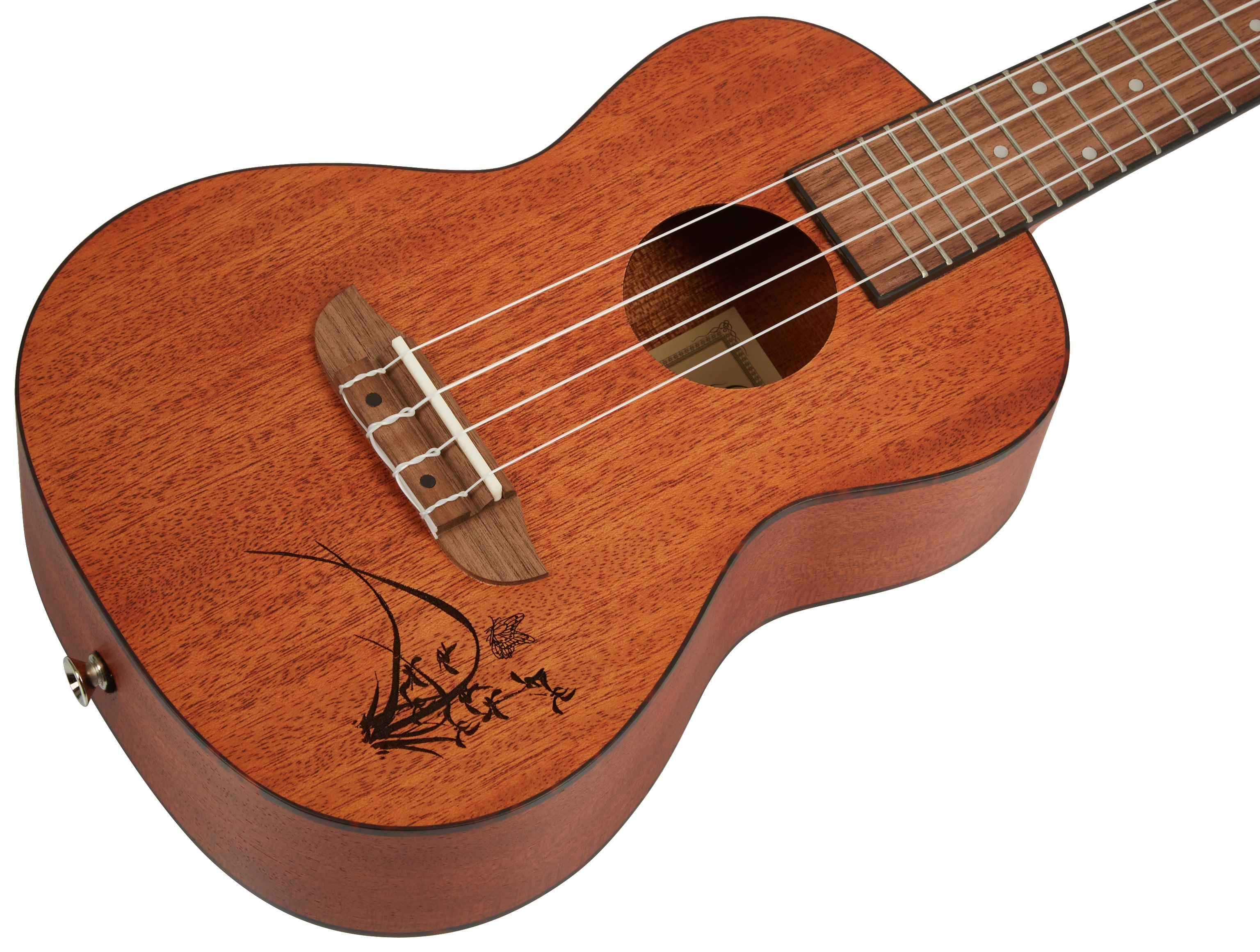 Ortega RU5MM (obrázek 3)