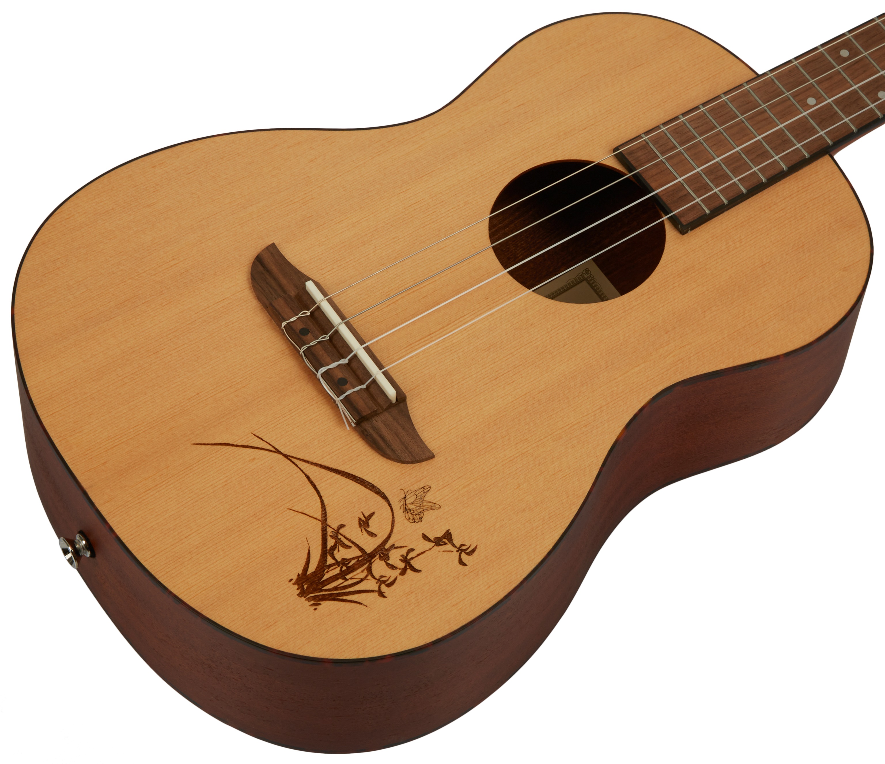 Ortega RU5-BA (obrázek 3)