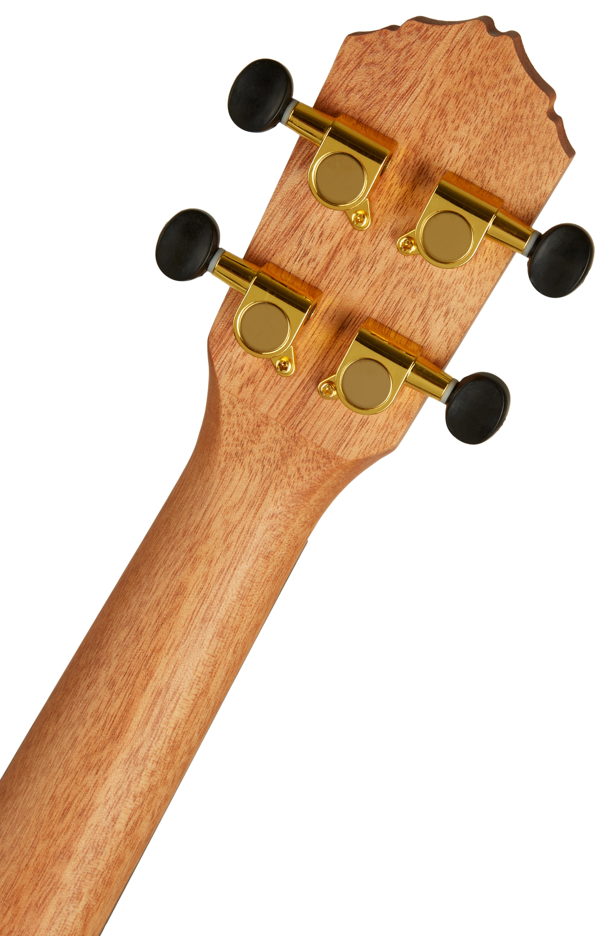 Ortega RUEB-SO (obrázek 5)