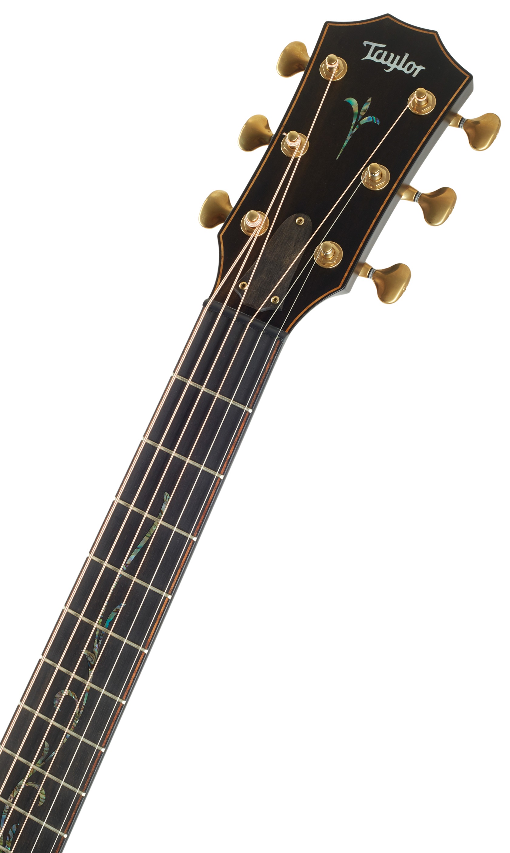 Taylor Builder's Edition K14ce (obrázek 5)