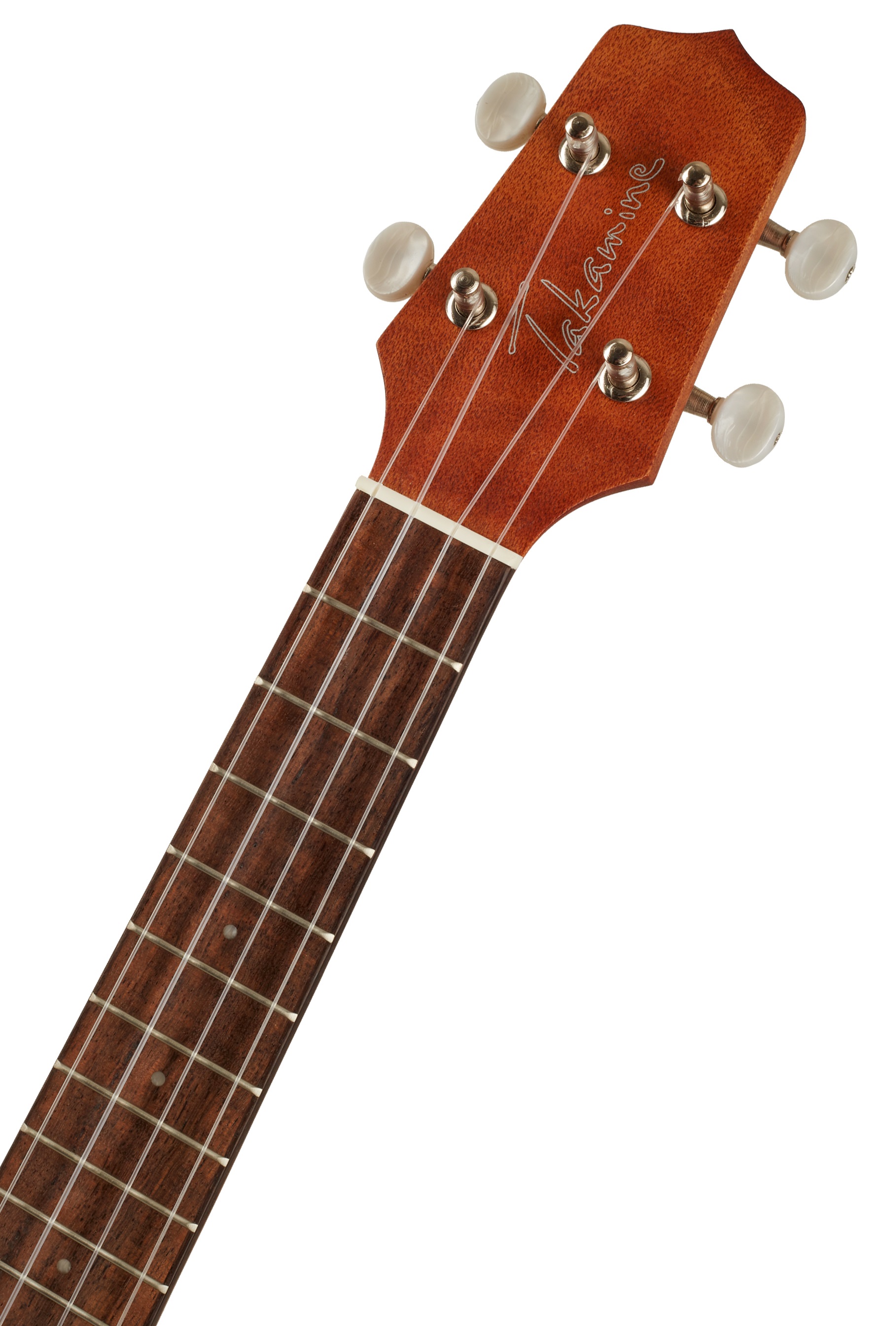 Takamine EGU-C1 (obrázek 5)
