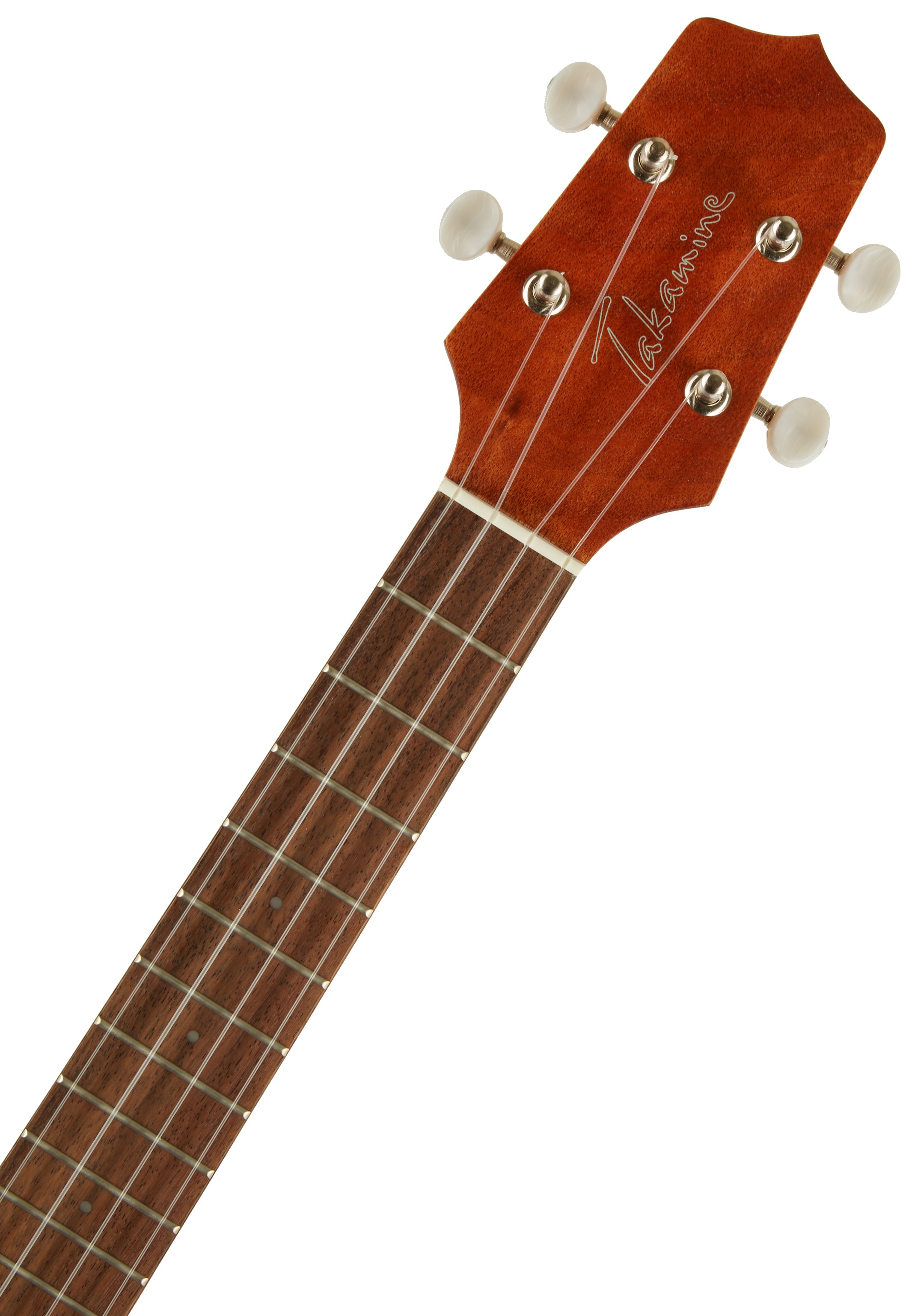 Takamine EGU-T1 (obrázek 4)