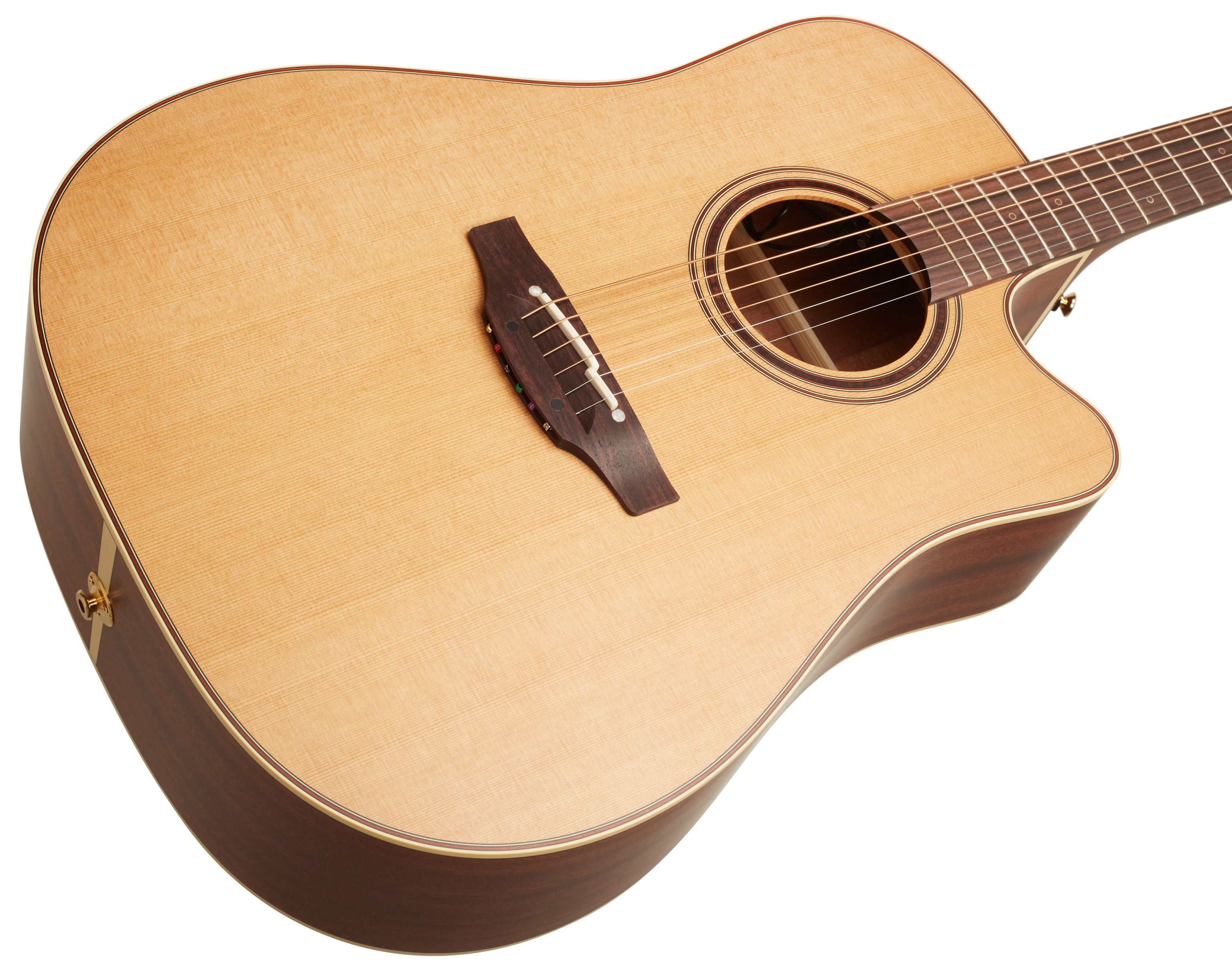 Takamine P3DC (obrázek 3)
