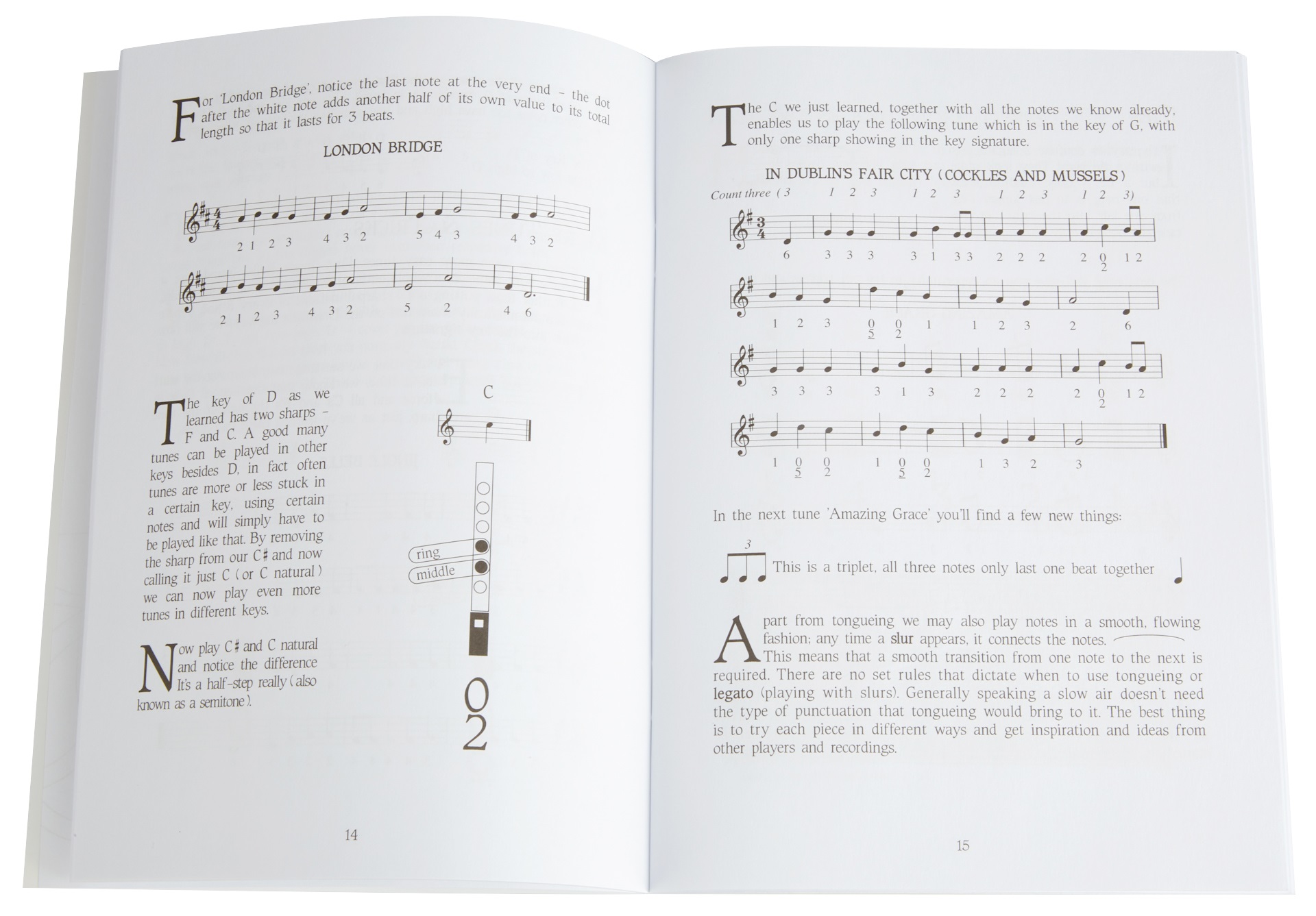 MS How To Play The Irish Tin Whistle Triple Pack (obrázek 5)