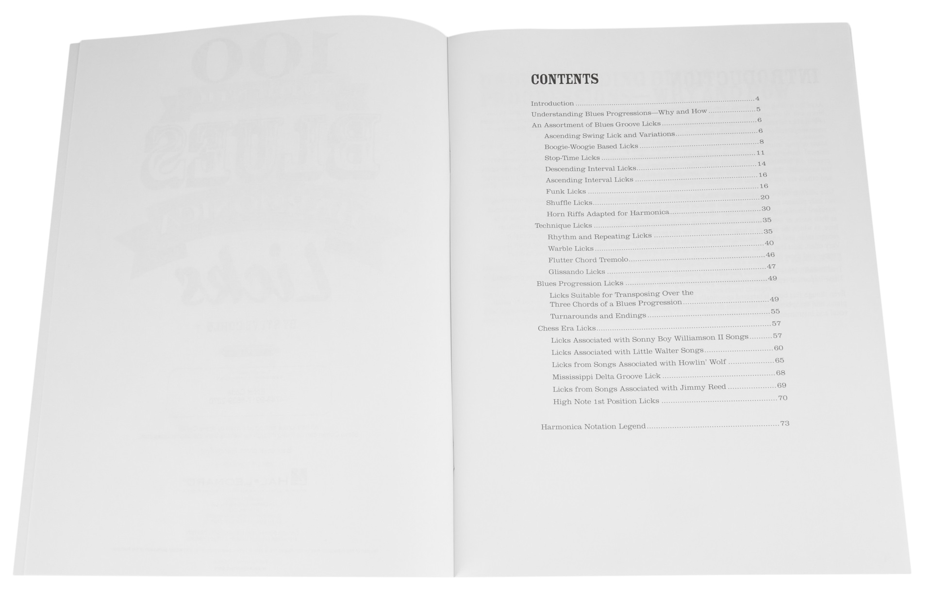 MS 100 Authentic Blues Harmonica Licks (obrázek 3)