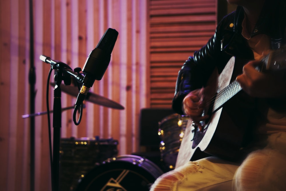 sE Electronics X1 S (obrázek 4)