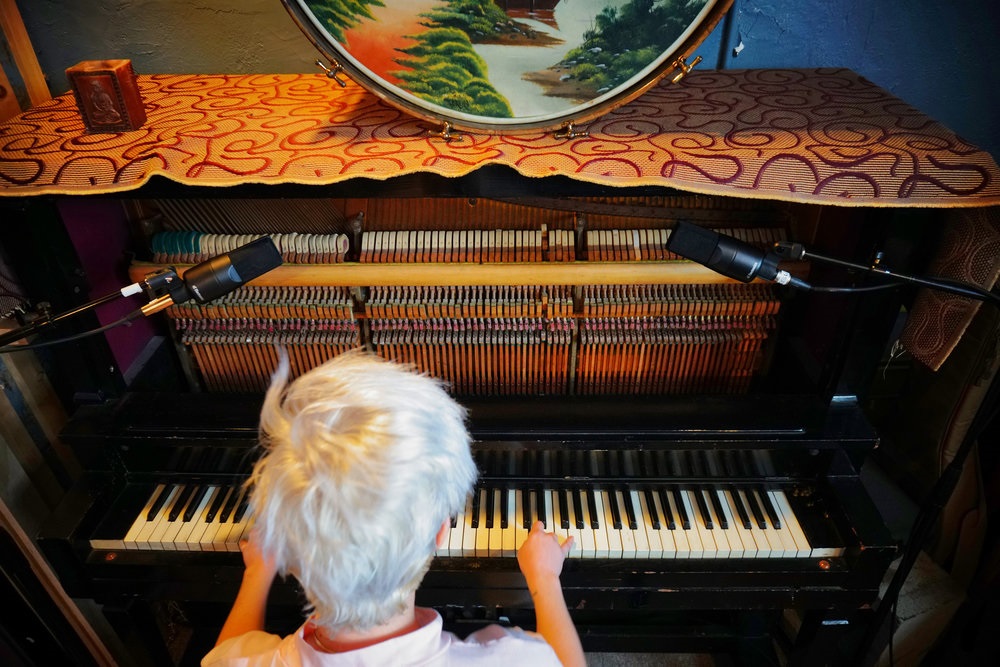 sE Electronics X1 S (obrázek 6)