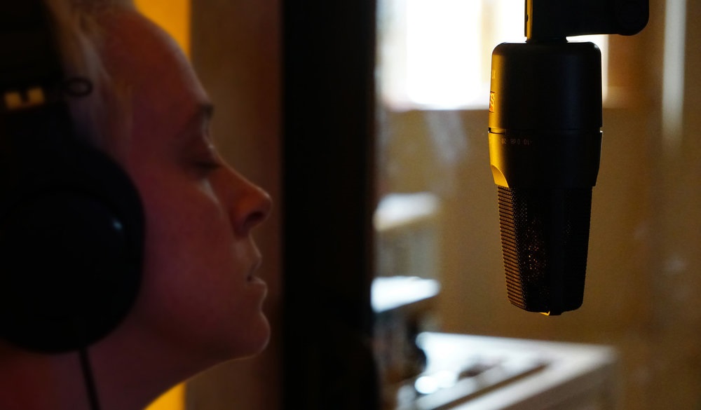 sE Electronics X1 S (obrázek 7)