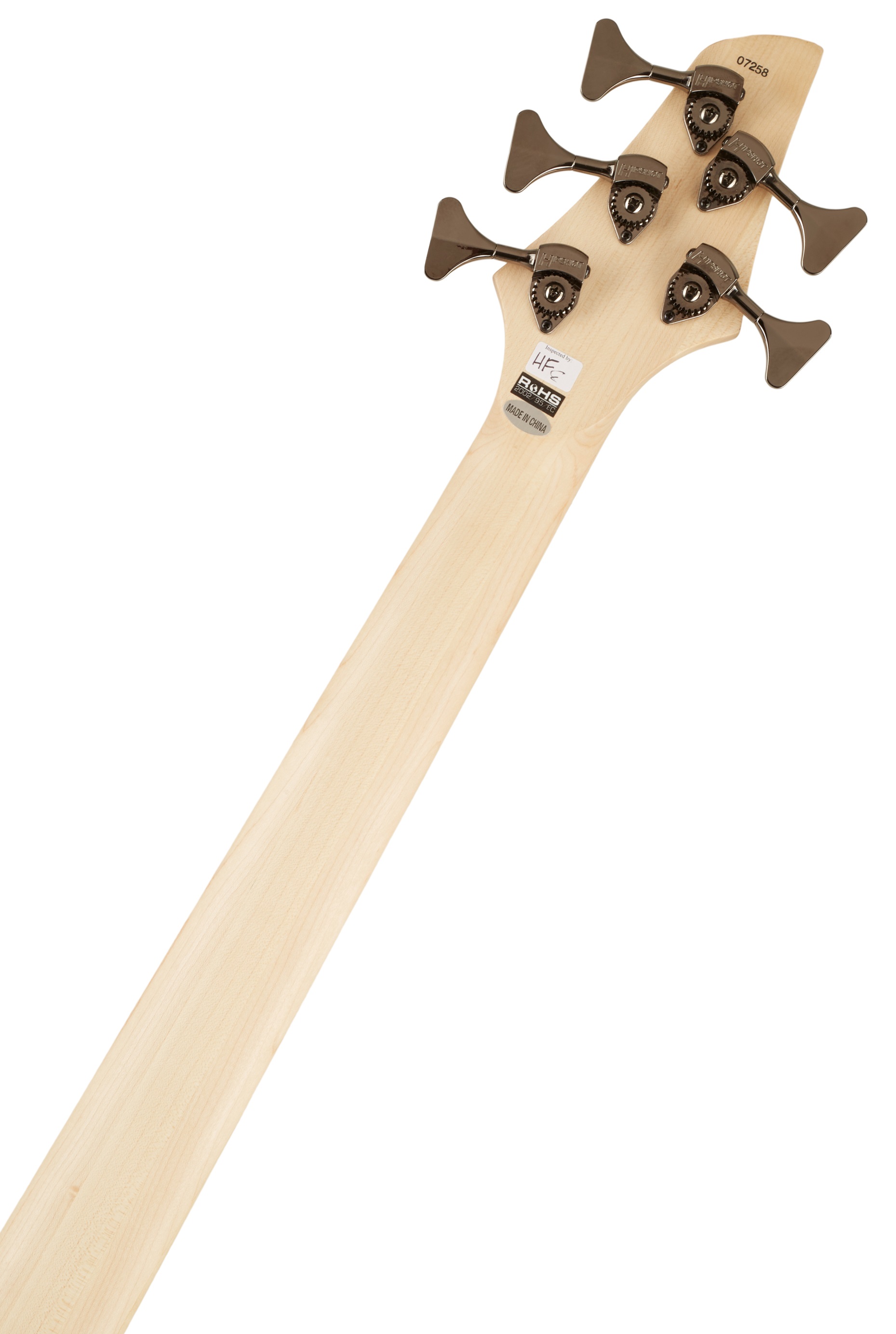 Dingwall Combustion 5 PF Indigo Burst (obrázek 5)