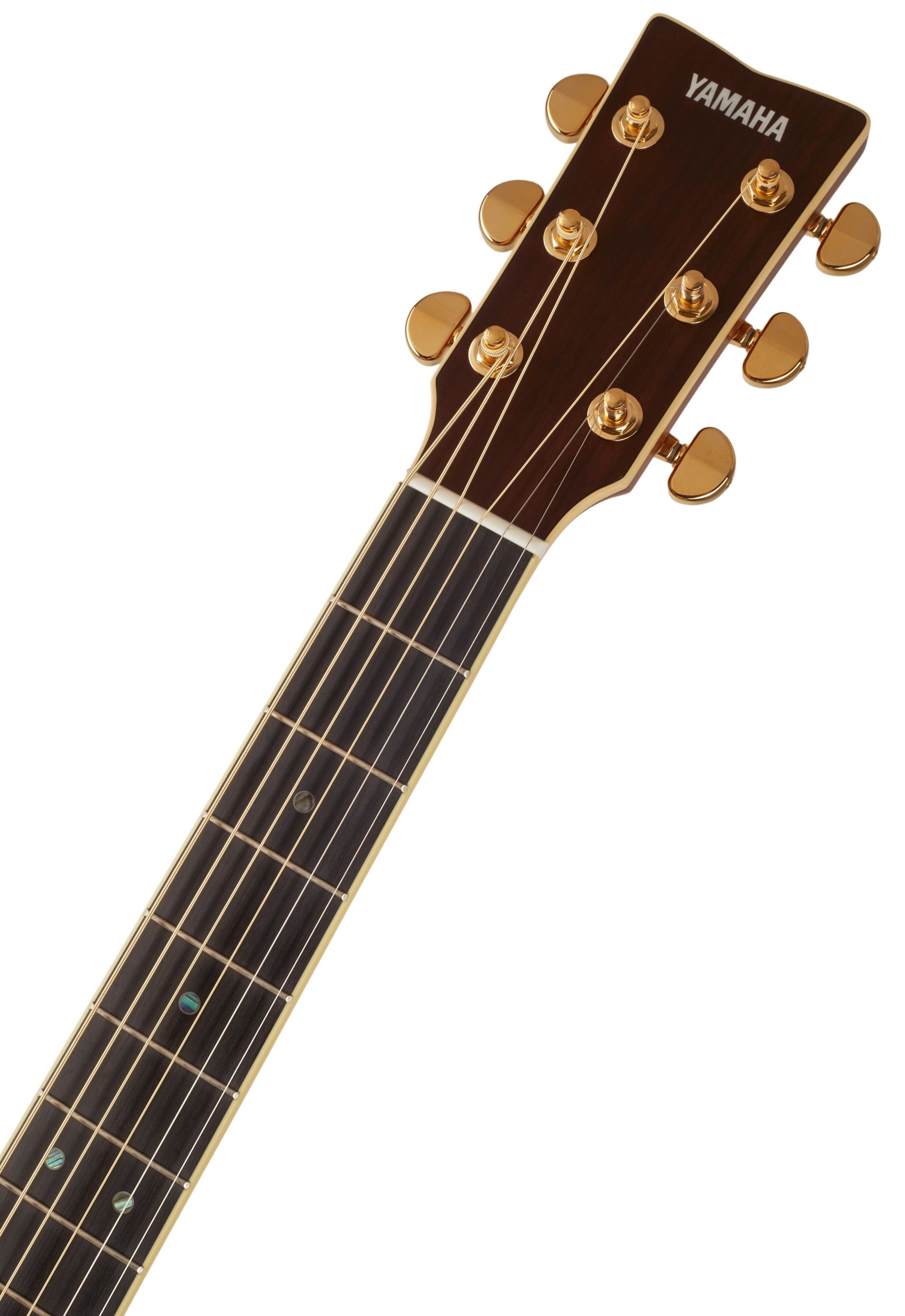 Yamaha LS-TA VT (obrázek 5)