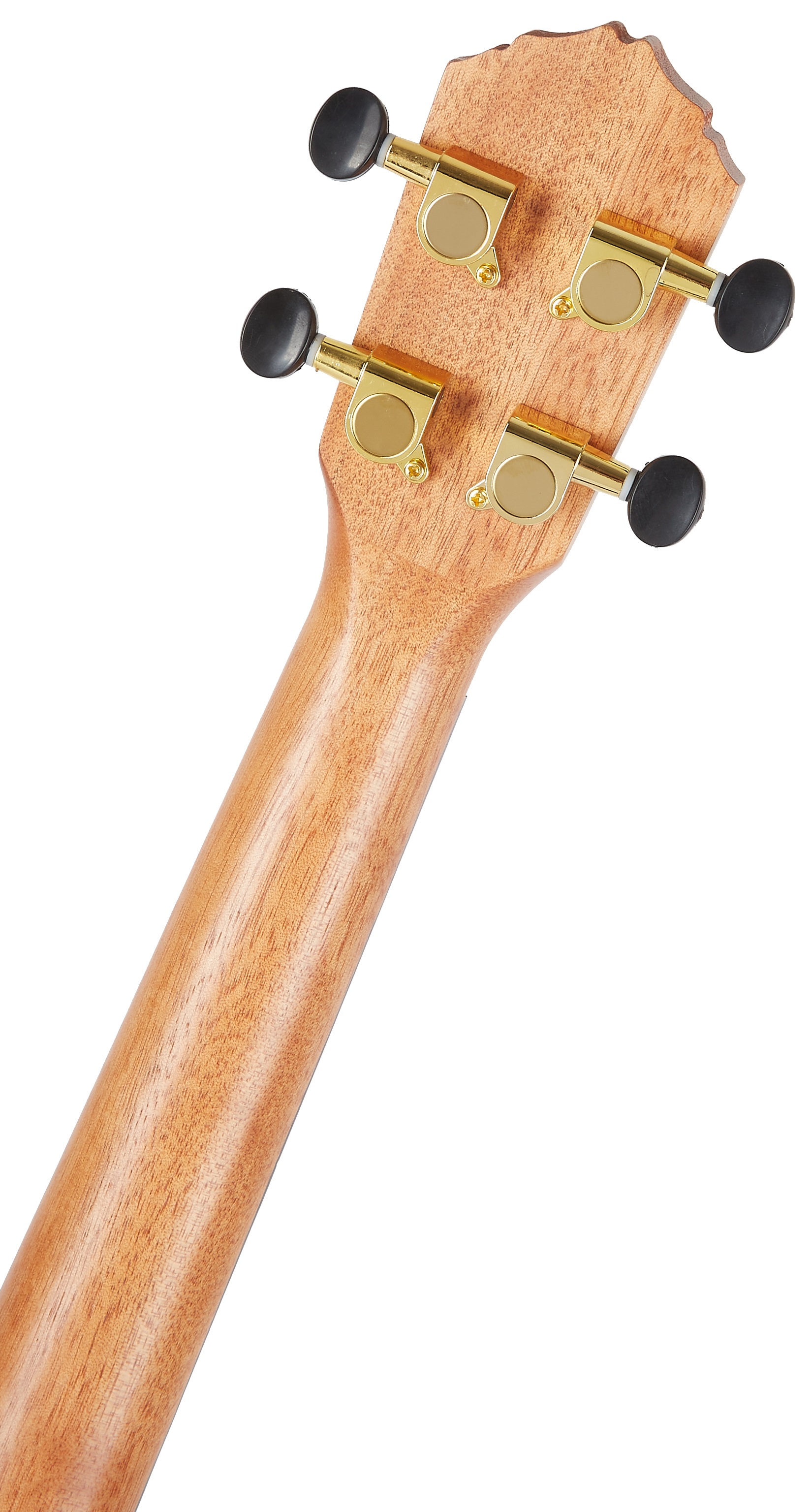 Ortega RUEB-TE (obrázek 5)