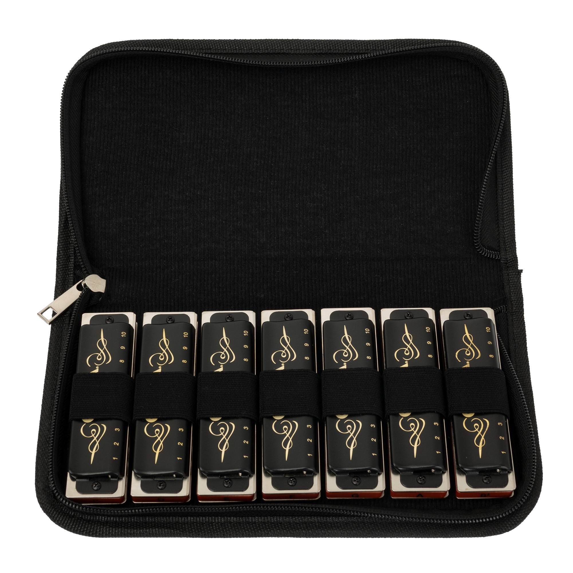 Cascha Professional Blues Set (obrázek 3)