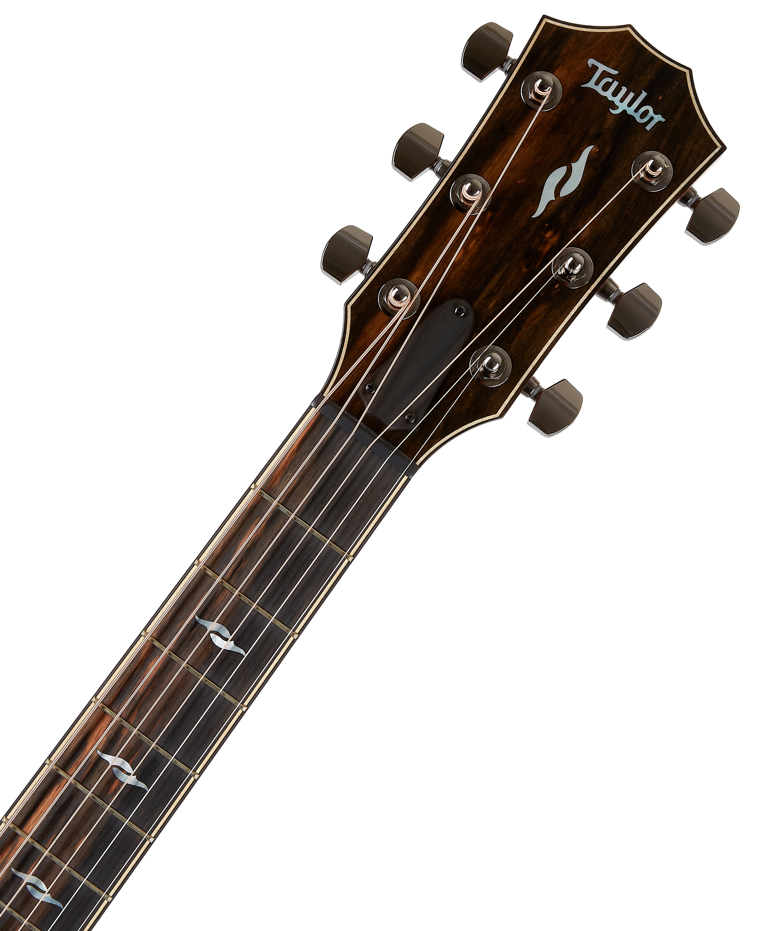 Taylor 814ce (obrázek 4)