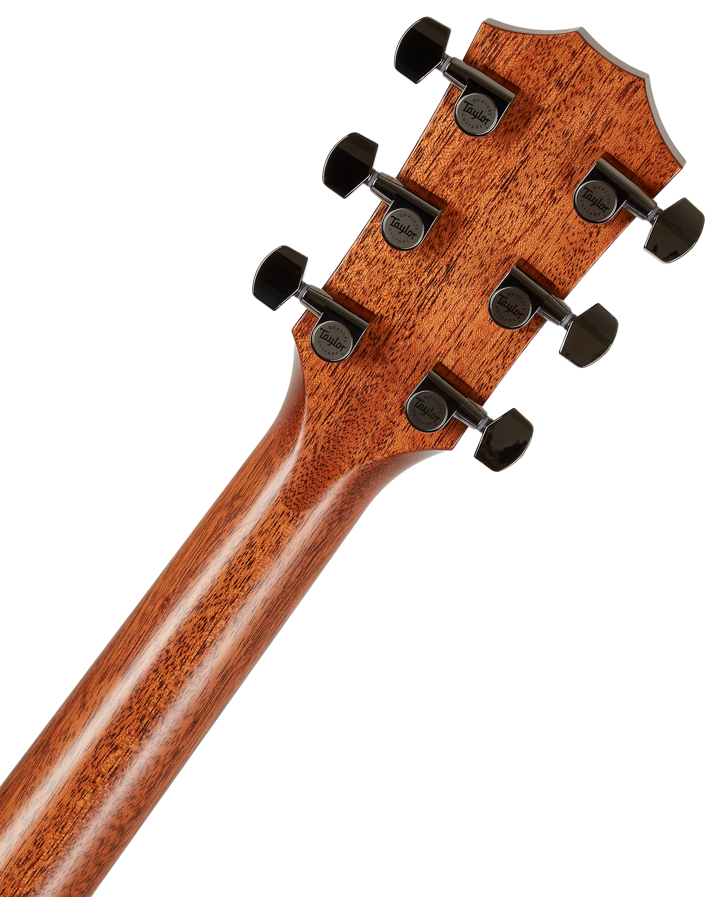 Taylor 814ce (obrázek 5)
