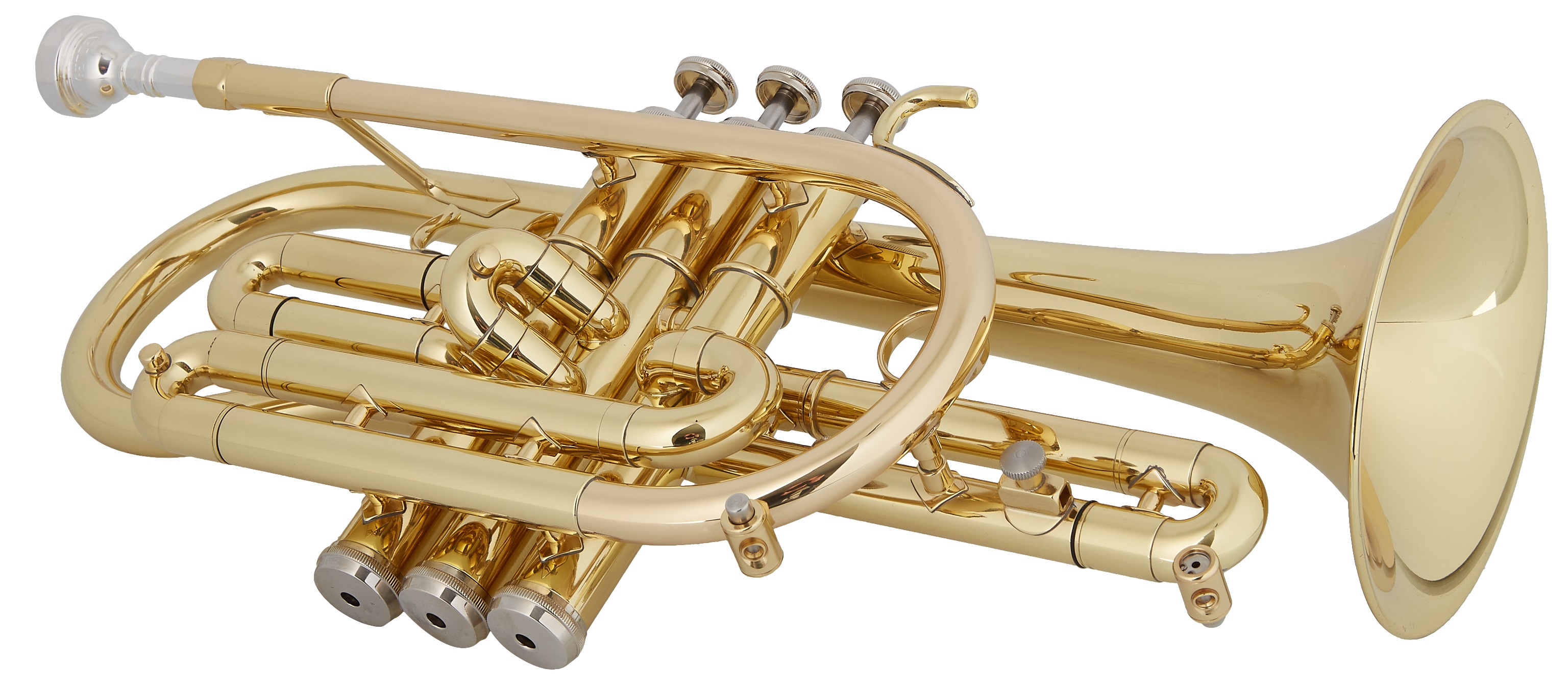 Getzen 800 Eterna (obrázek 4)
