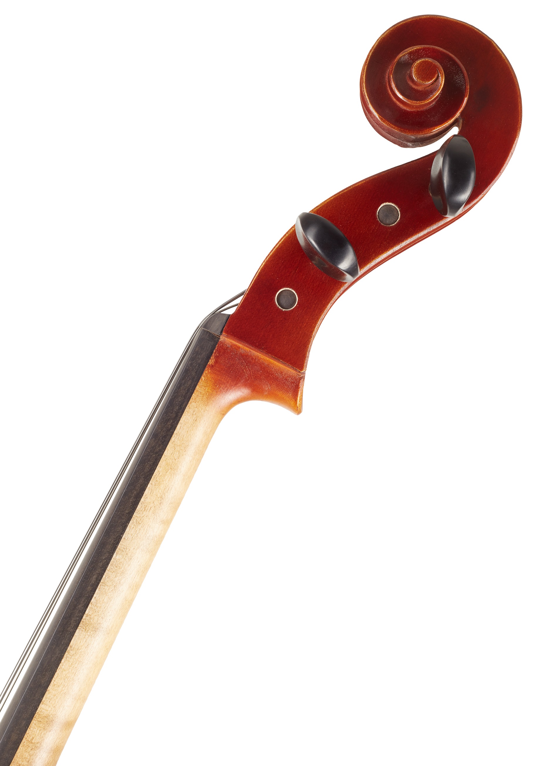 Gewa Ideale Violoncello Set 4/4 (obrázek 5)