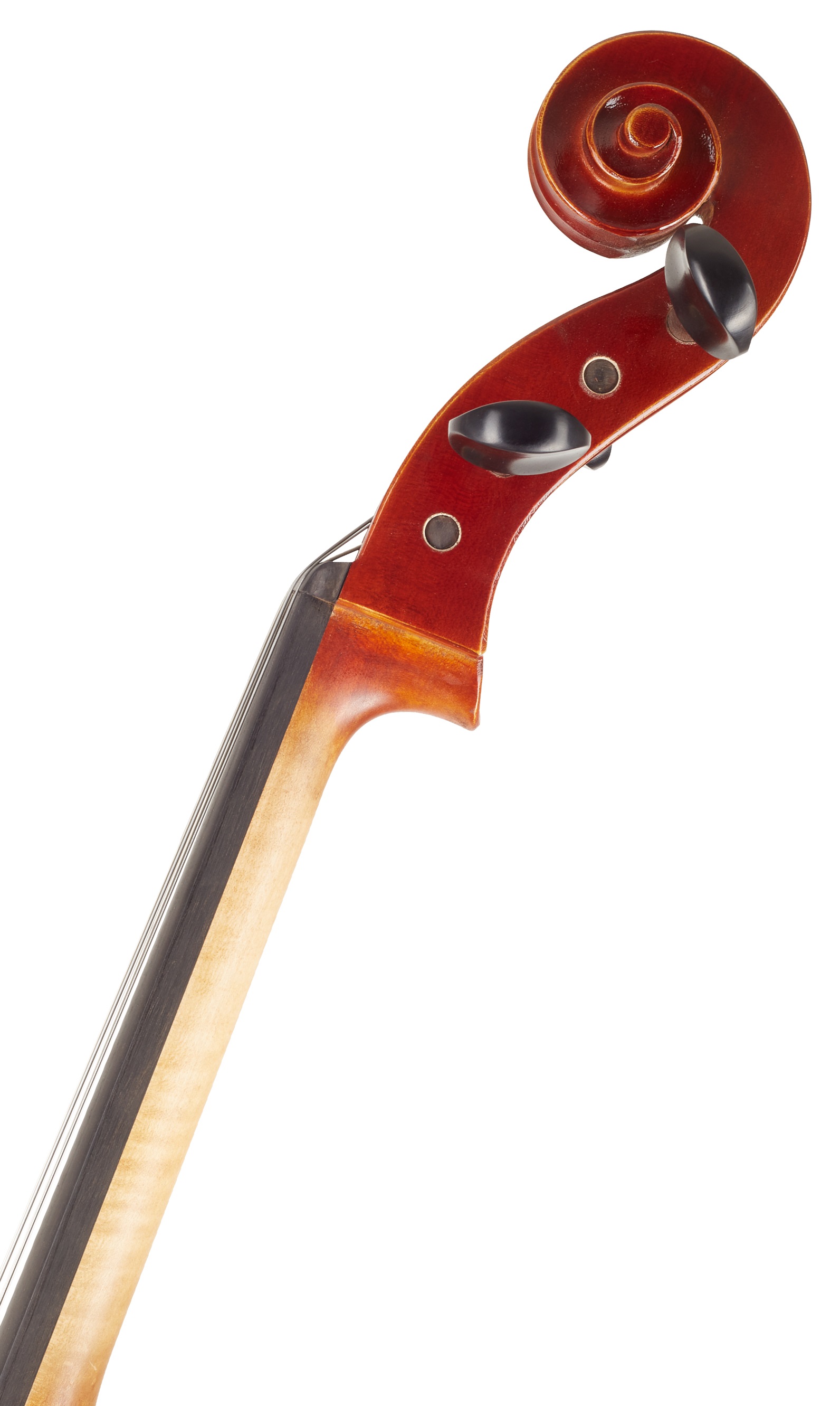 Gewa Ideale Violoncello 4/4 CB (obrázek 6)