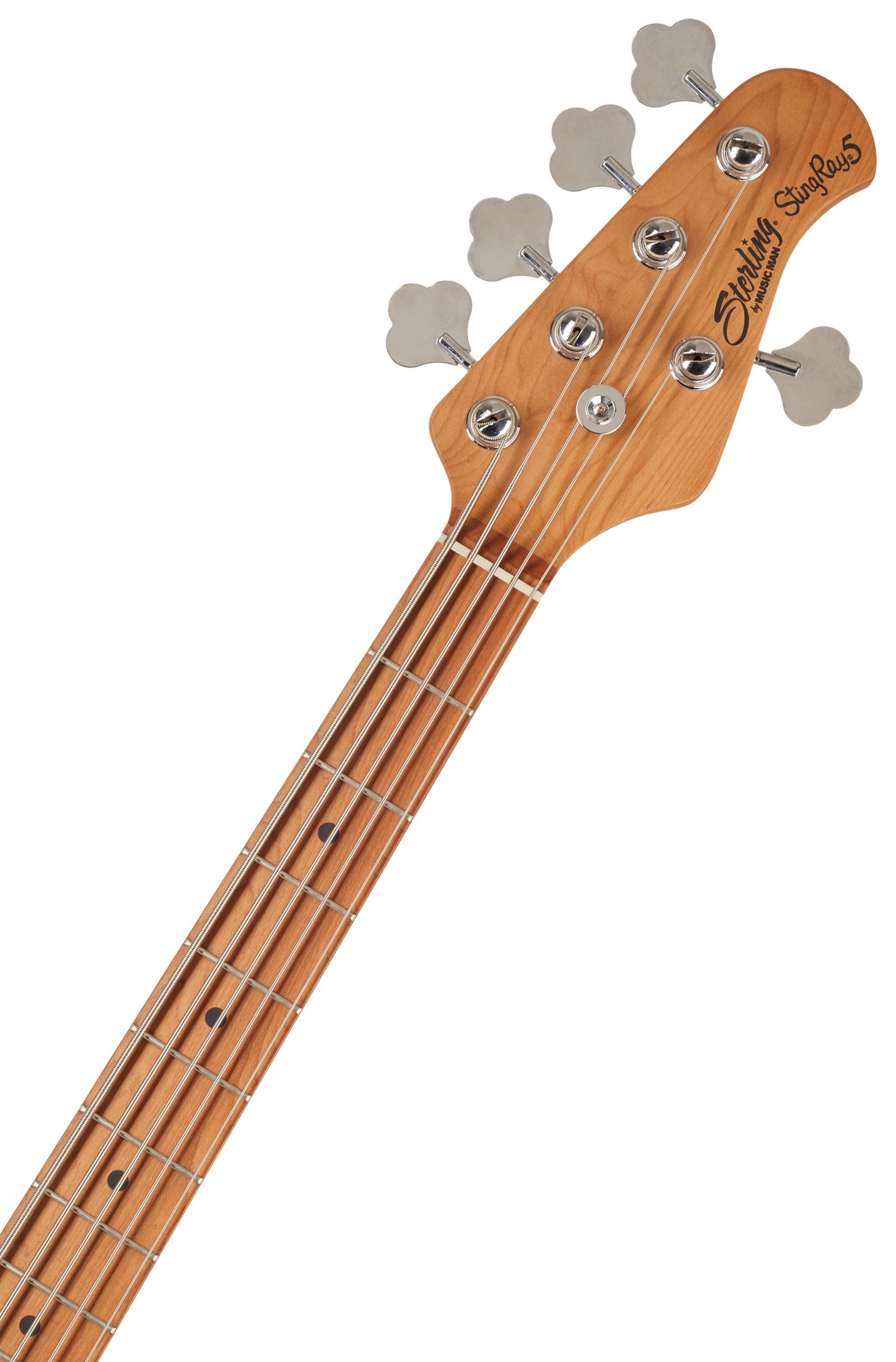 Sterling by Music Man StingRay5 HH Daphne Blue Limited (obrázek 4)