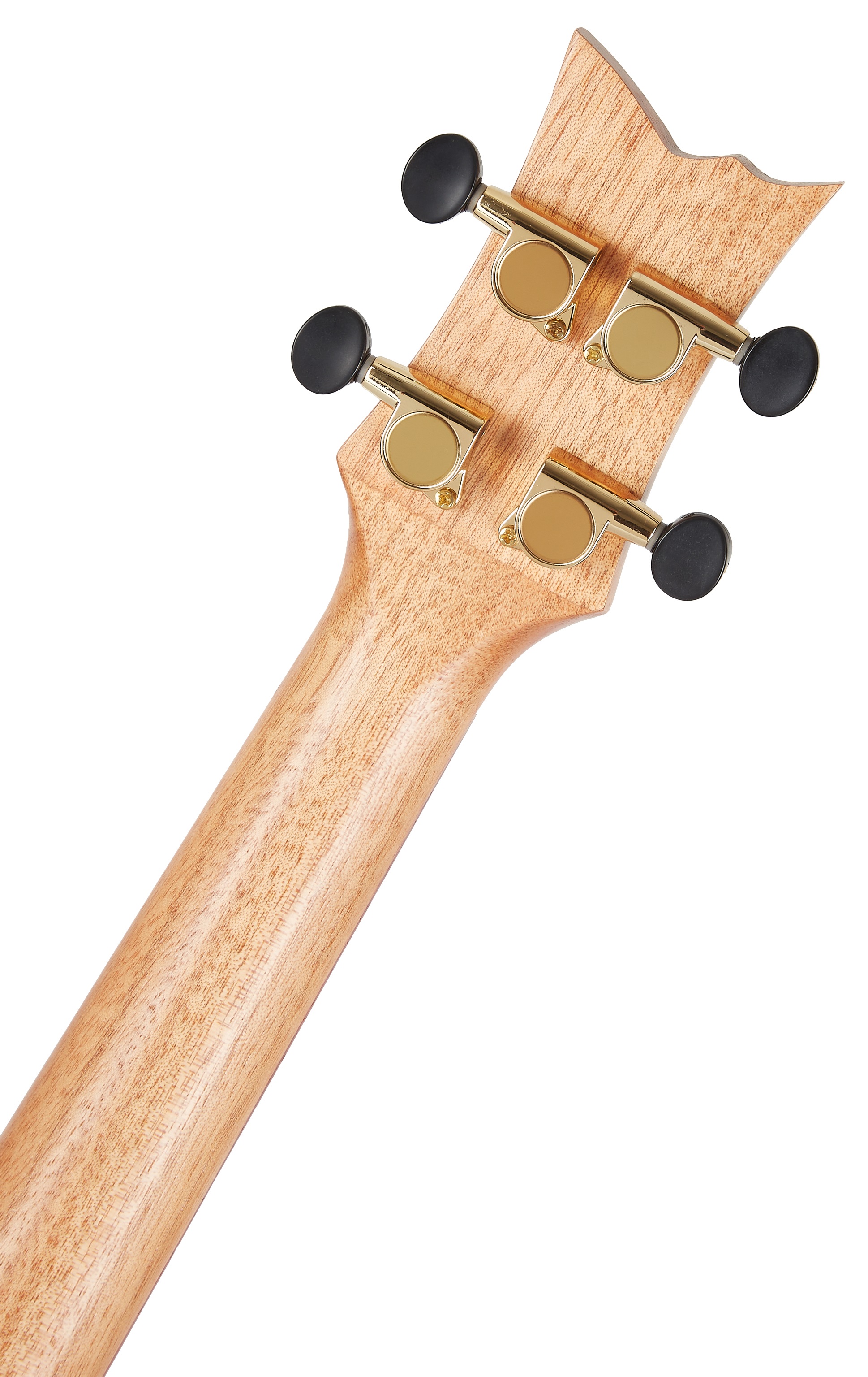 Ortega RUACA-CC (obrázek 5)