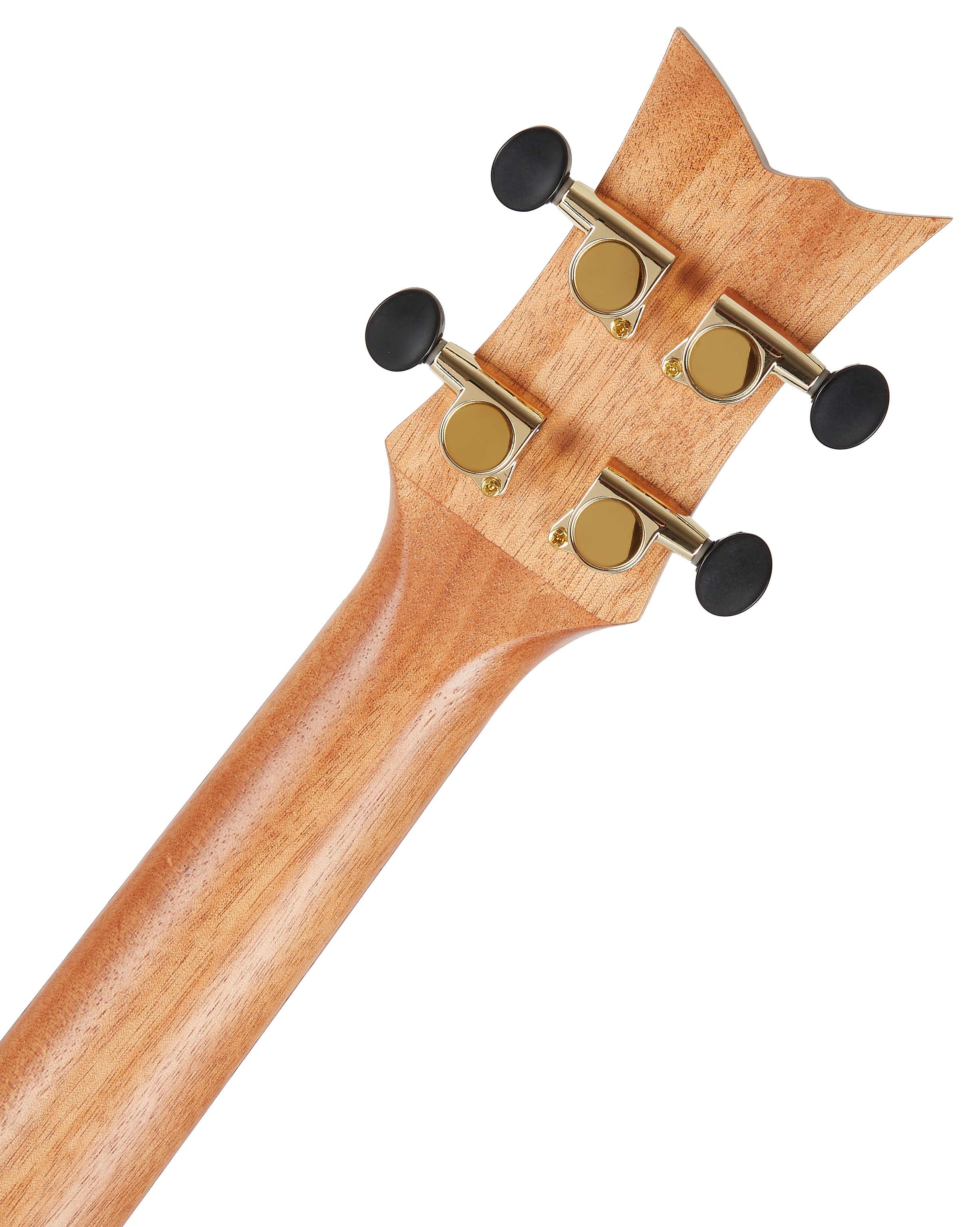 Ortega RUACA-BA (obrázek 5)