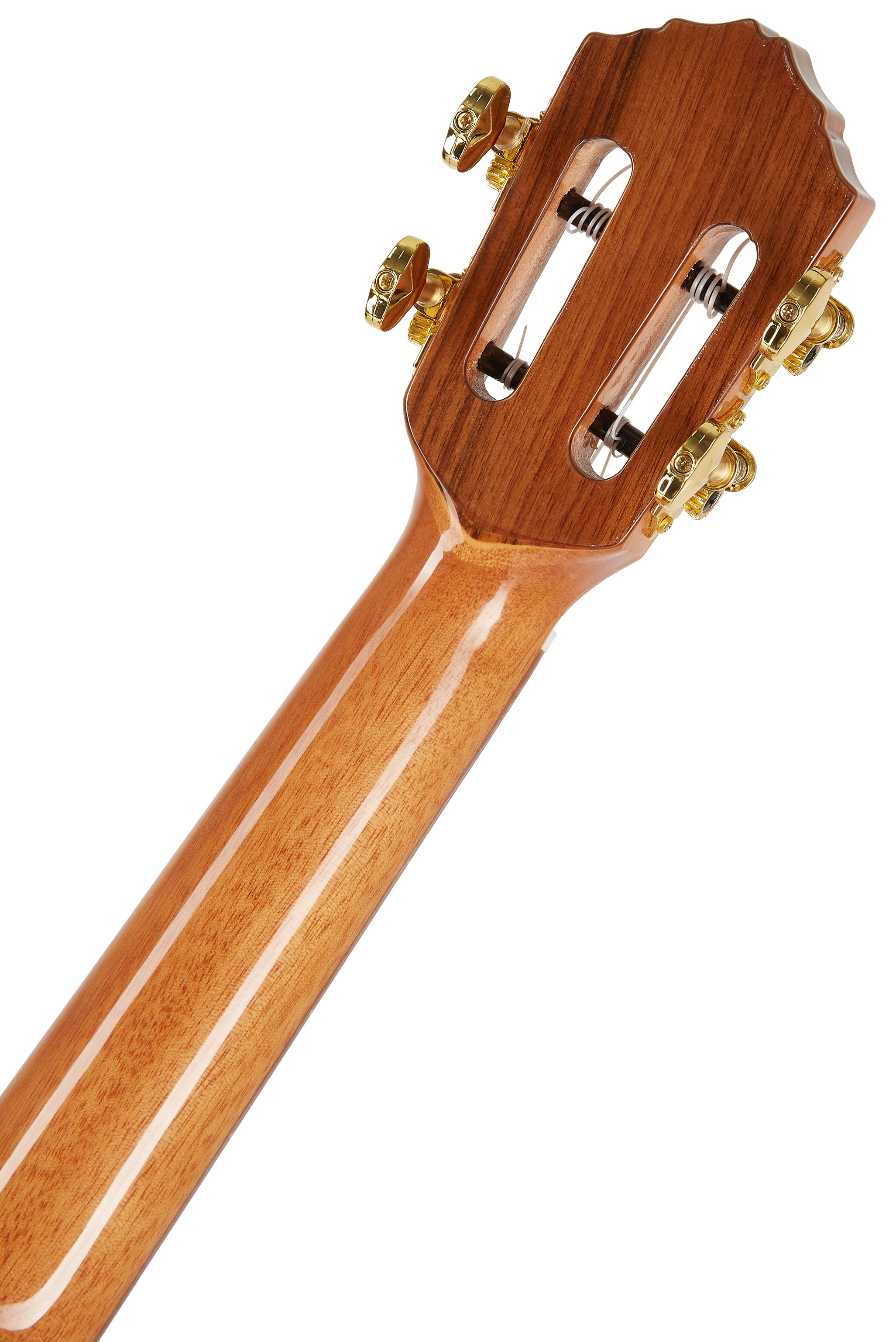 Ortega ECLIPSE-CC4 (obrázek 6)