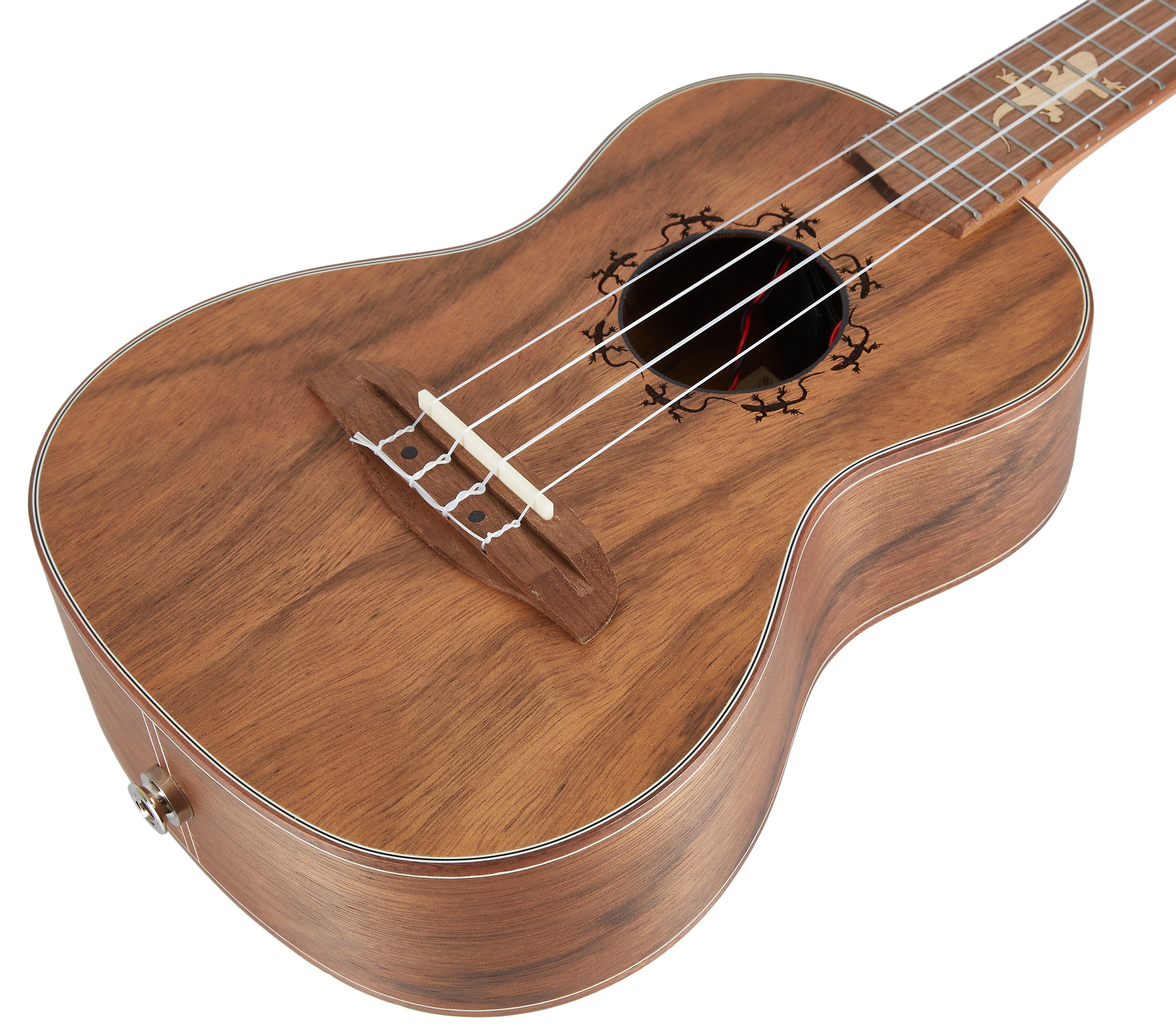 Ortega LIZARD-CC-GBL (obrázek 3)