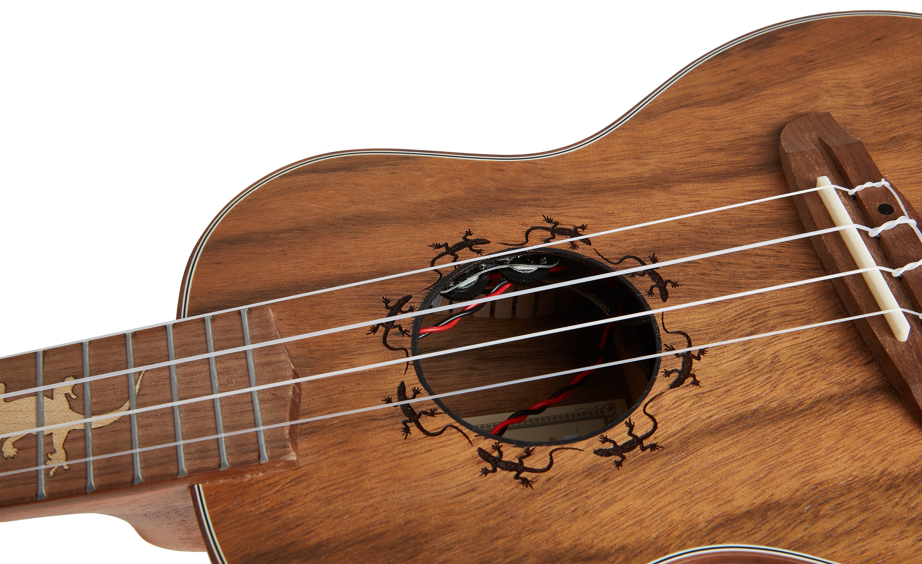 Ortega LIZARD-CC-GBL (obrázek 4)