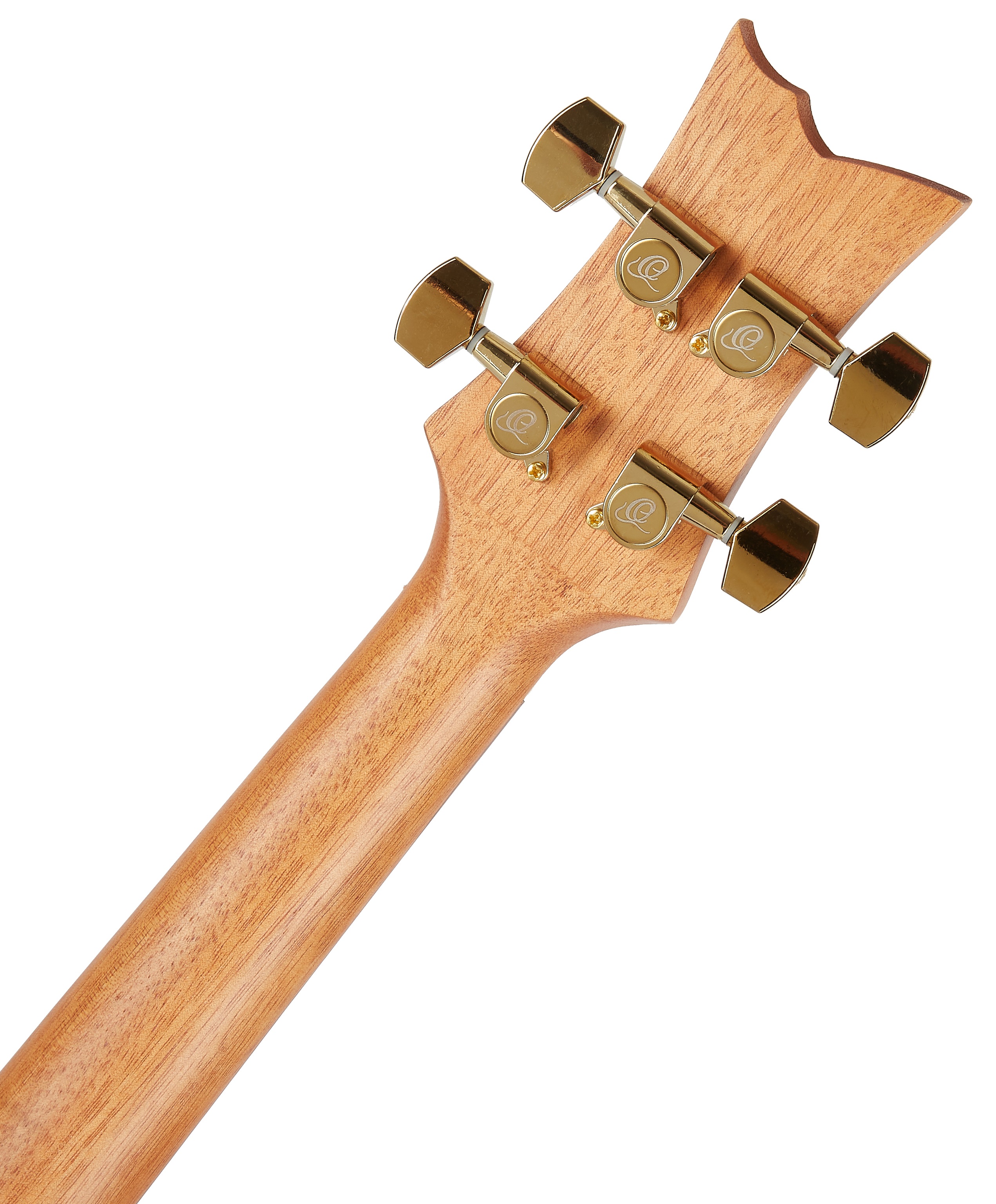 Ortega LIZARD-CC-GBL (obrázek 6)