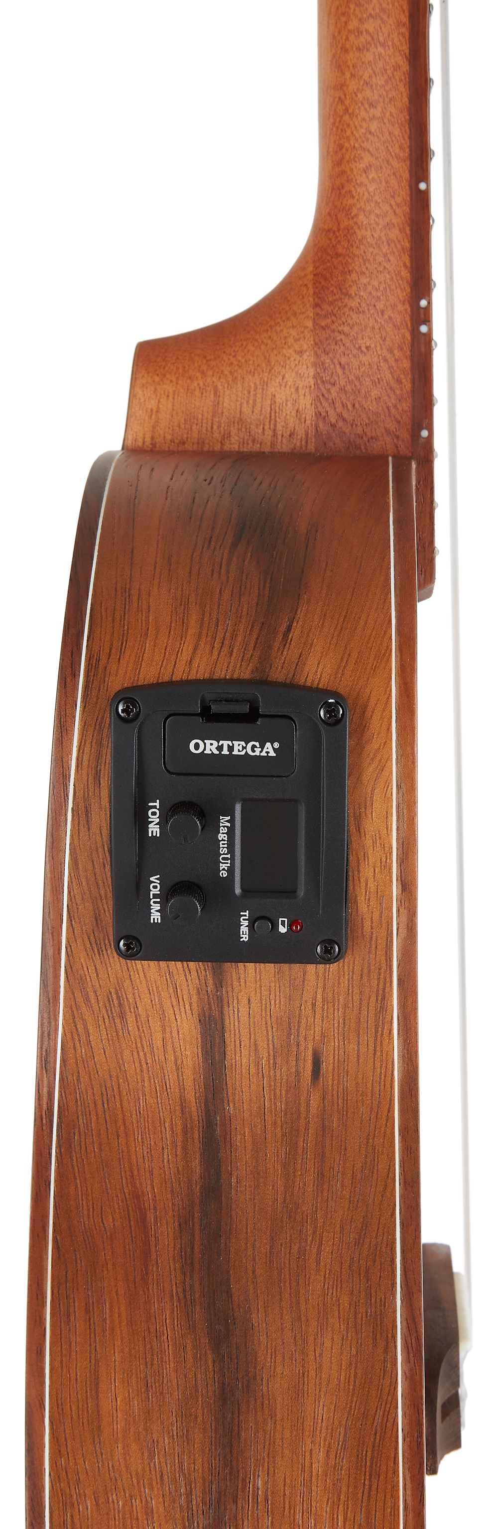 Ortega LIZARD-CC-GB (obrázek 4)