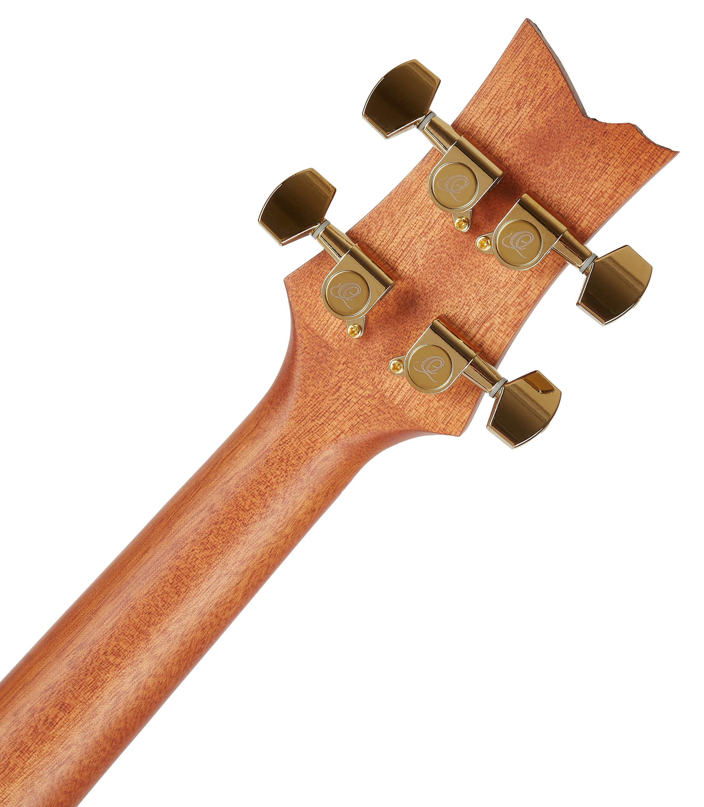 Ortega LIZARD-CC-GB (obrázek 6)