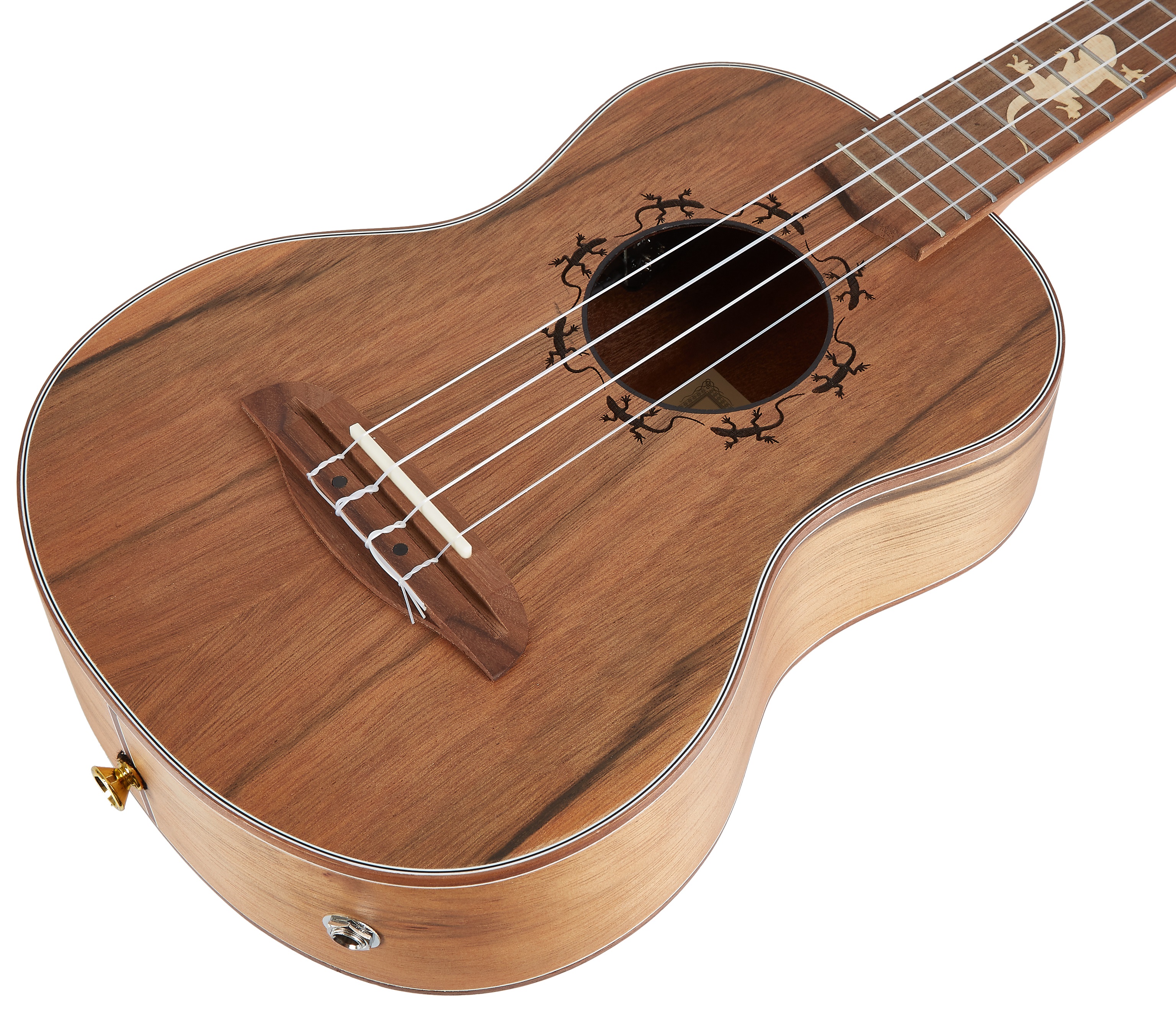 Ortega LIZARD-TE-GB (obrázek 3)