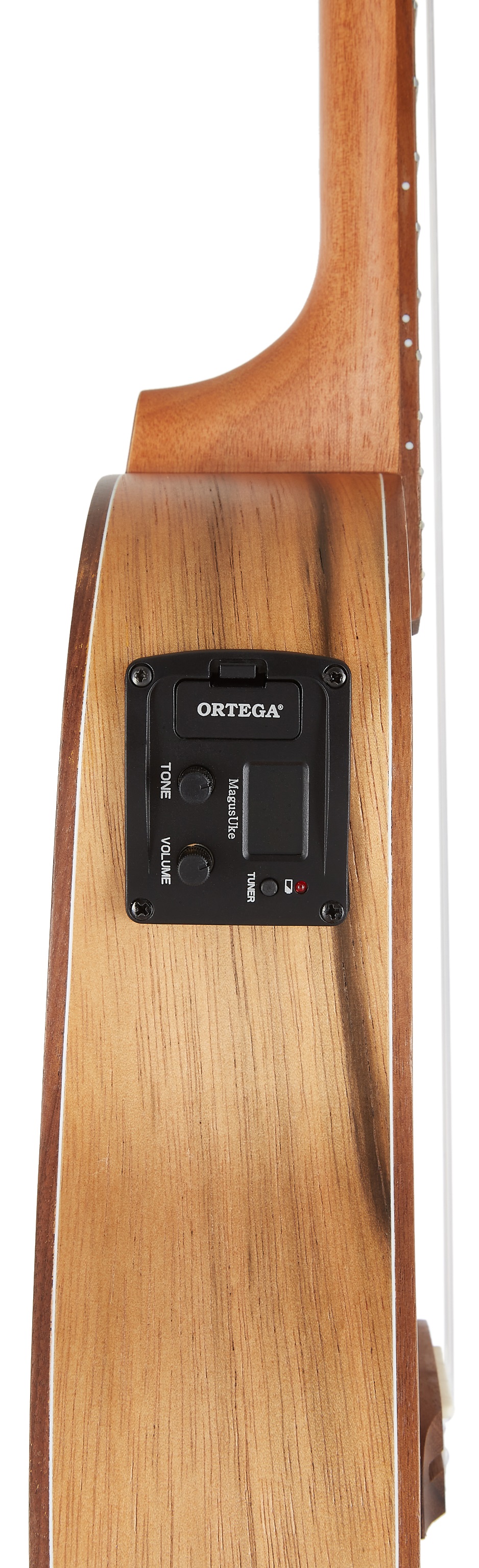 Ortega LIZARD-TE-GB (obrázek 4)