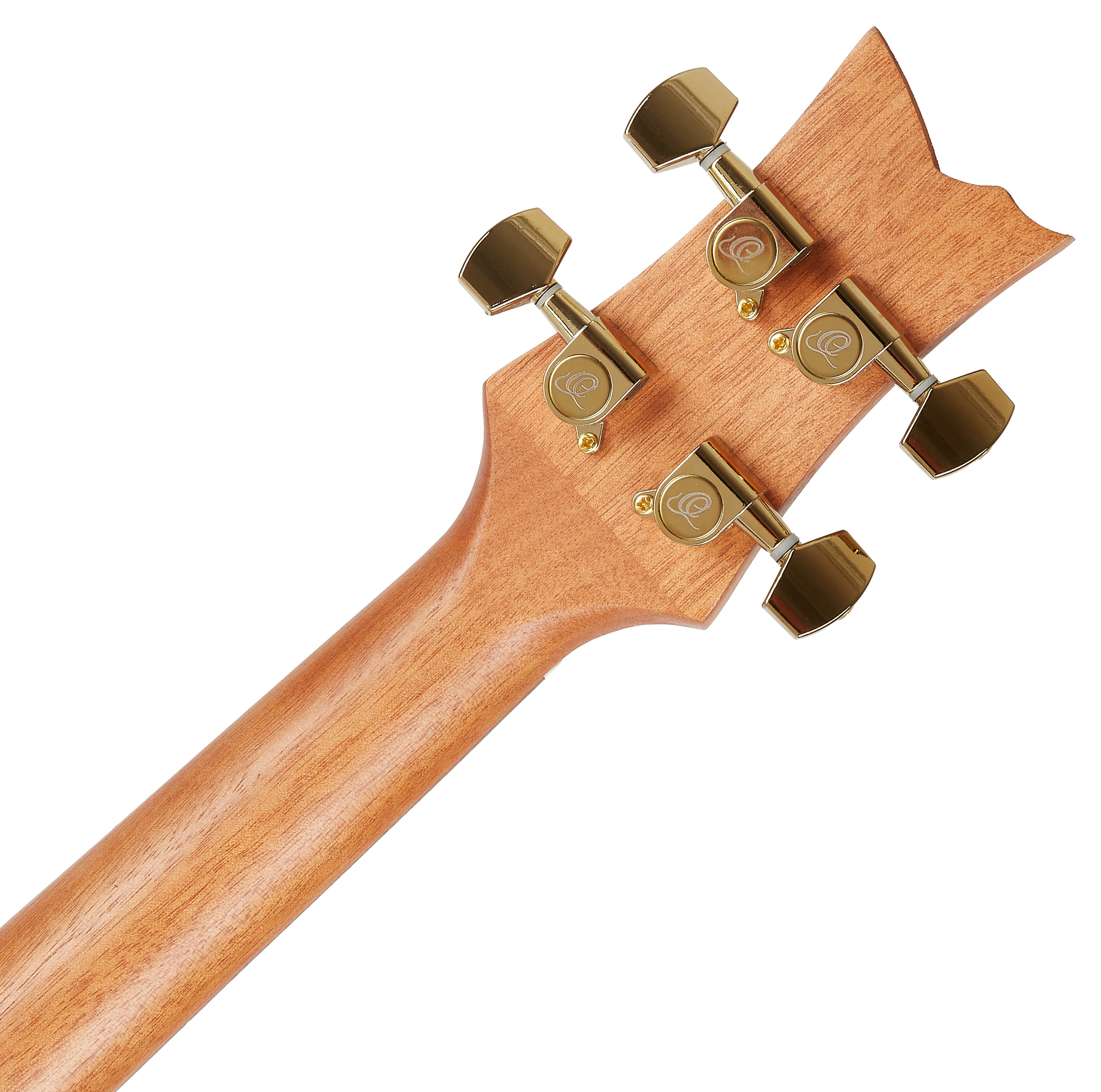 Ortega LIZARD-TE-GB (obrázek 6)