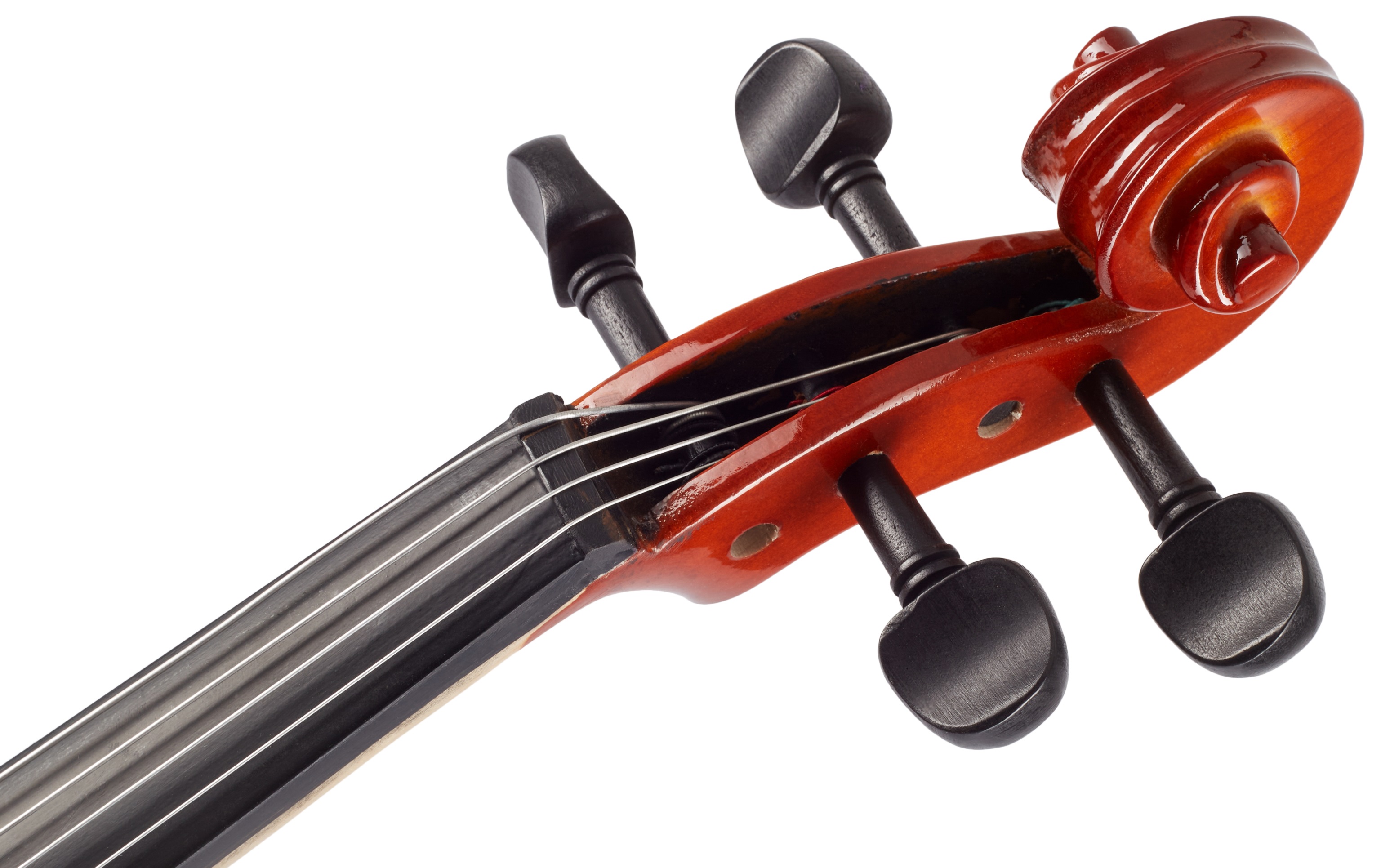 Soundsation Viola VS - 15,5 (obrázek 6)