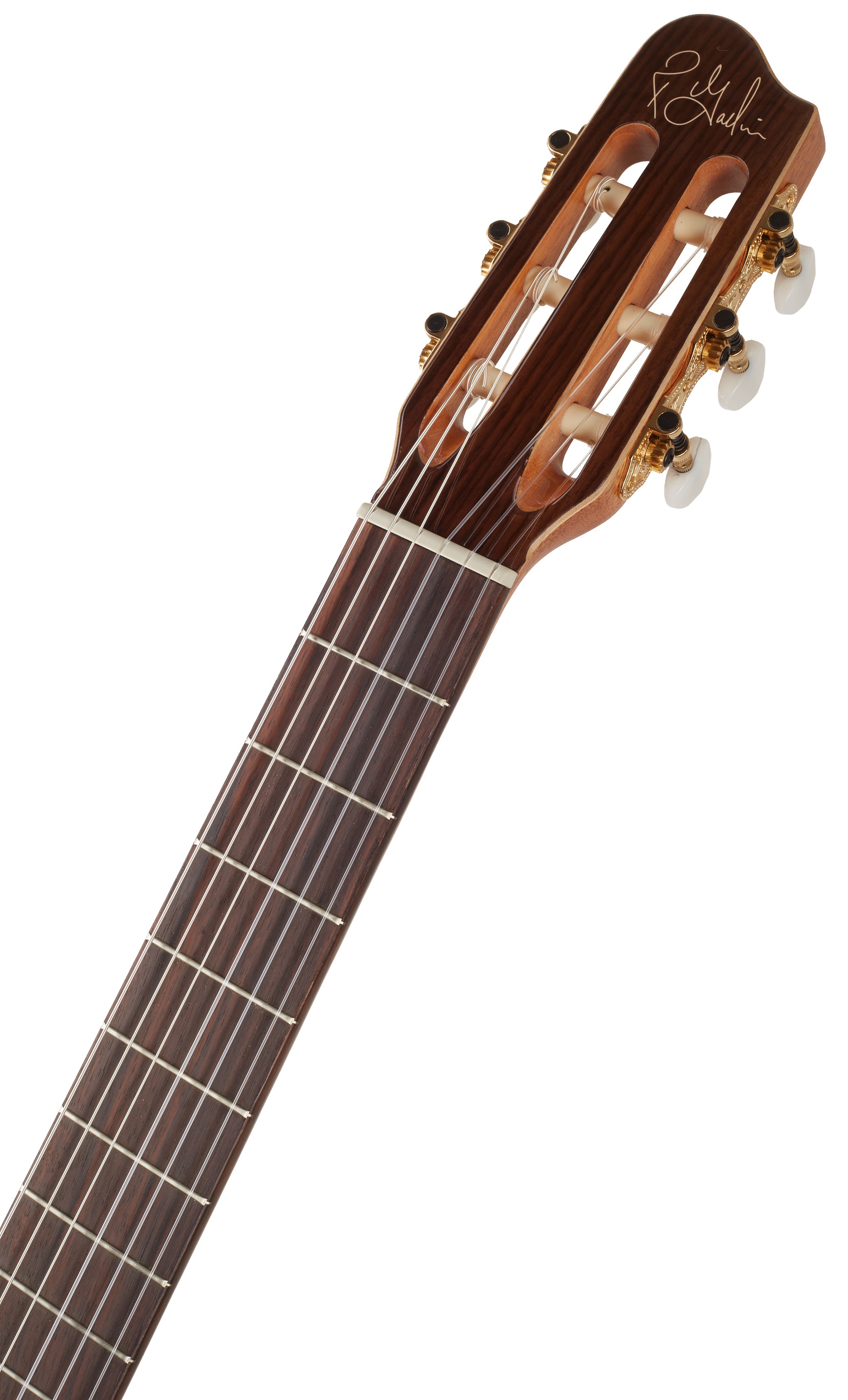 Godin Concert (obrázek 4)