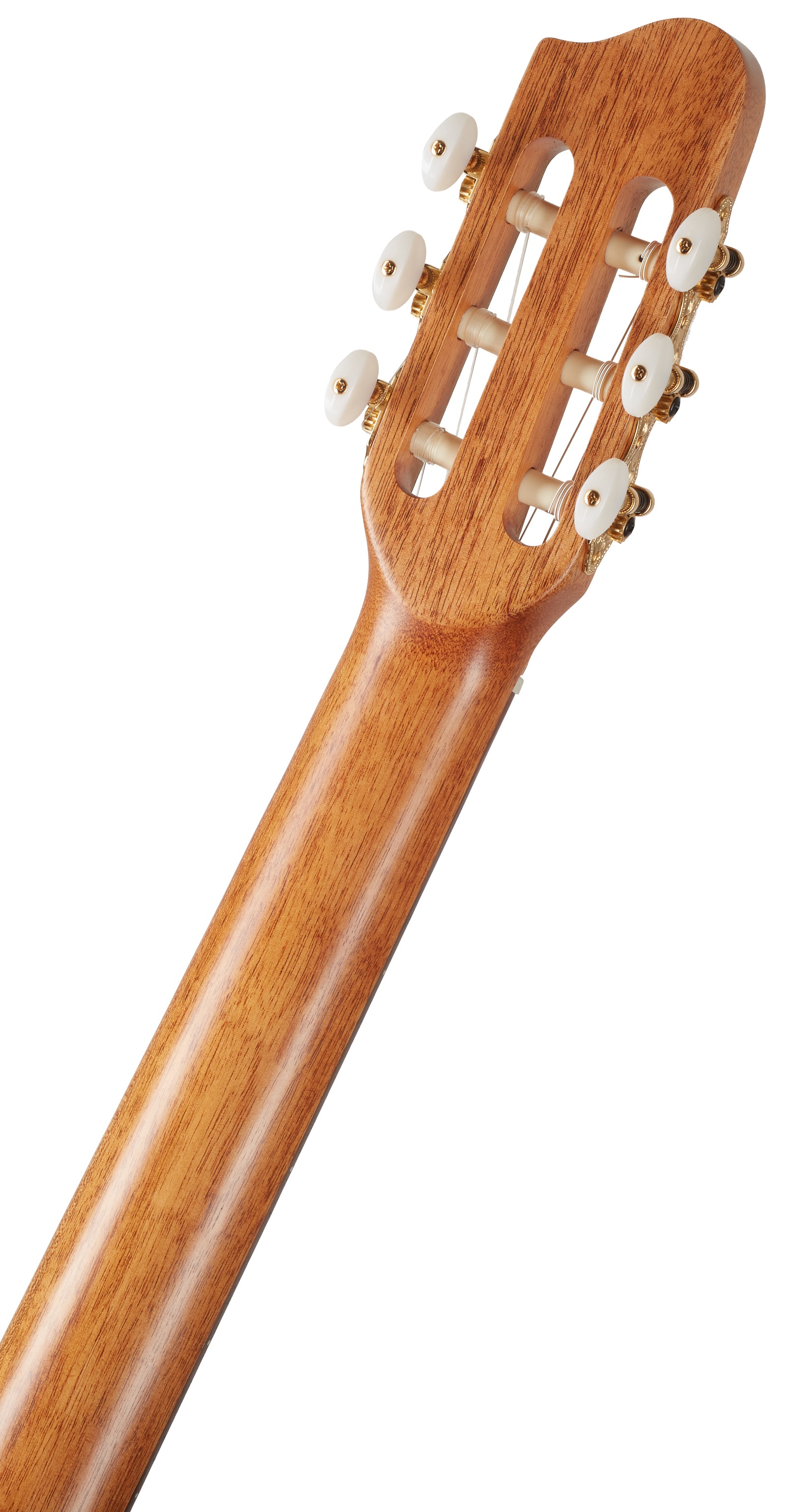 Godin Concert (obrázek 5)