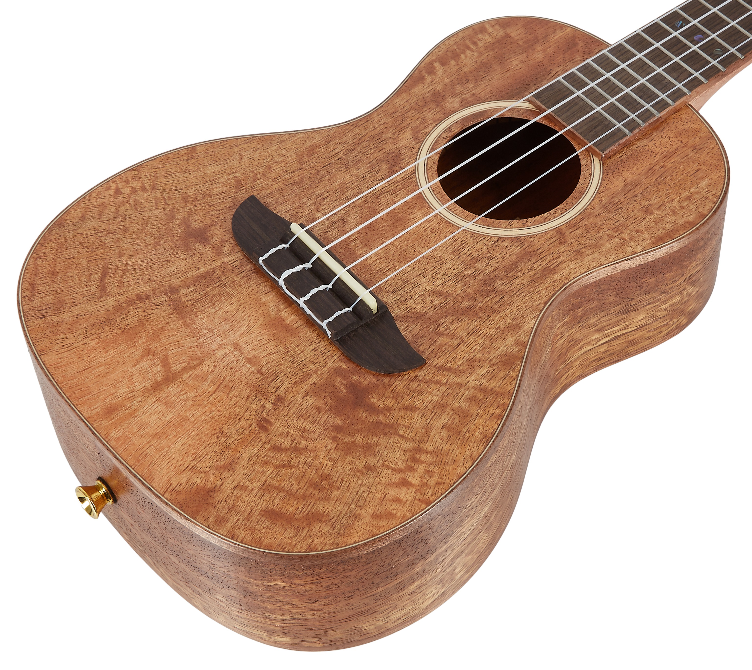 Ortega RUMG (obrázek 3)