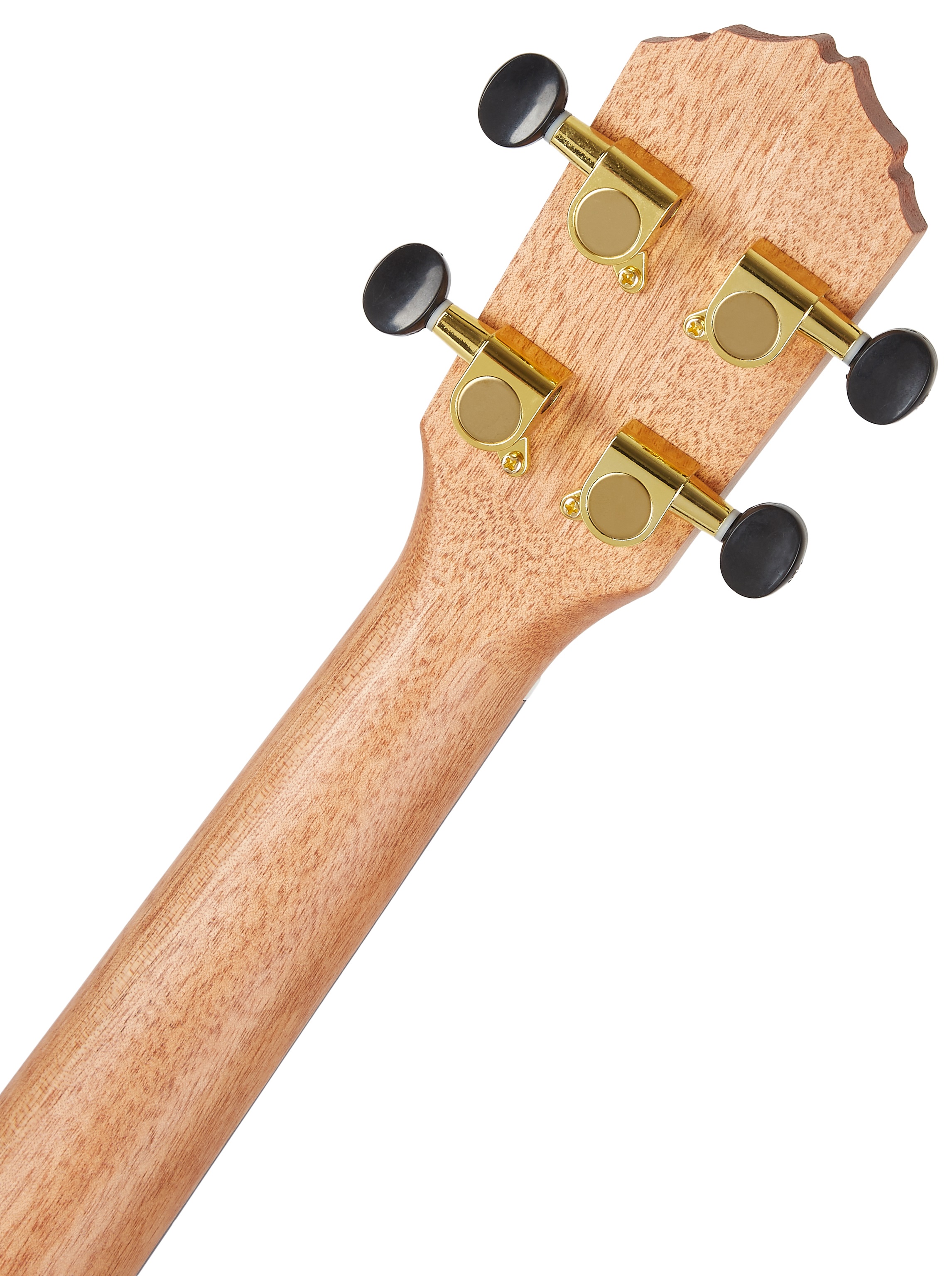 Ortega RUEB-CC (obrázek 5)