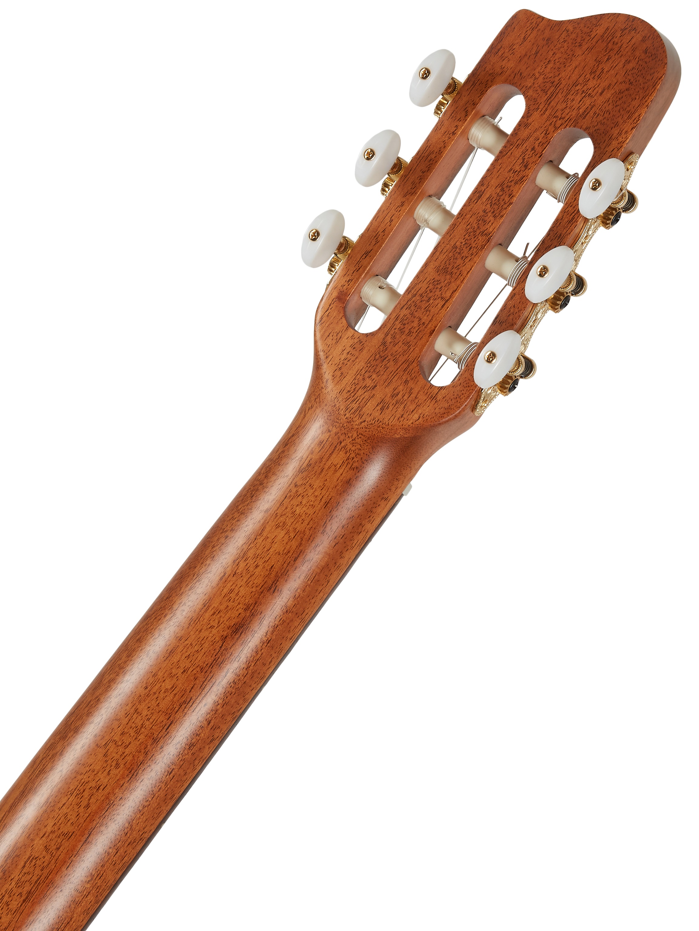 Godin Collection (obrázek 5)