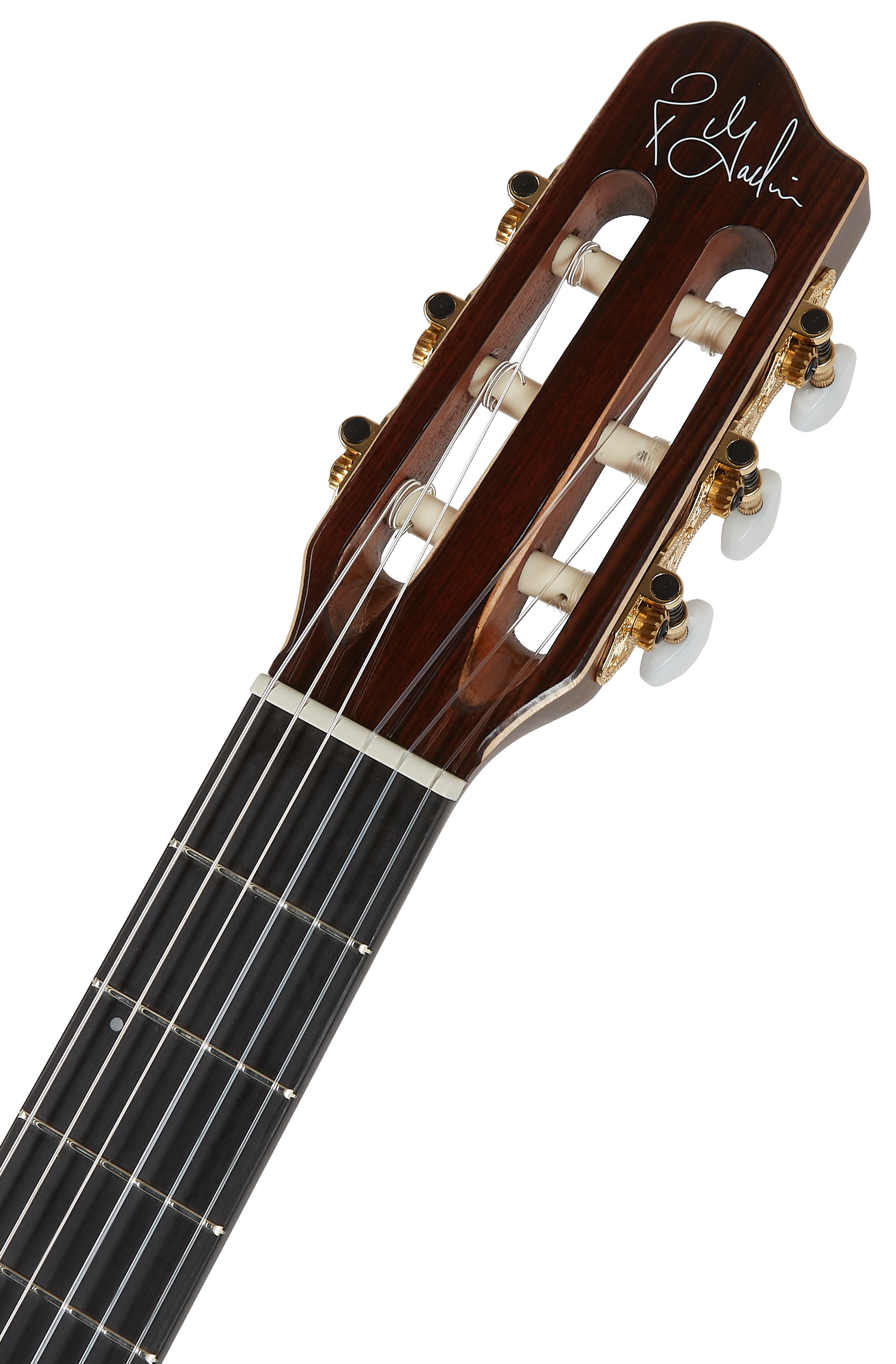 Godin Arena Pro CW Bourbon Burst EQ (obrázek 4)