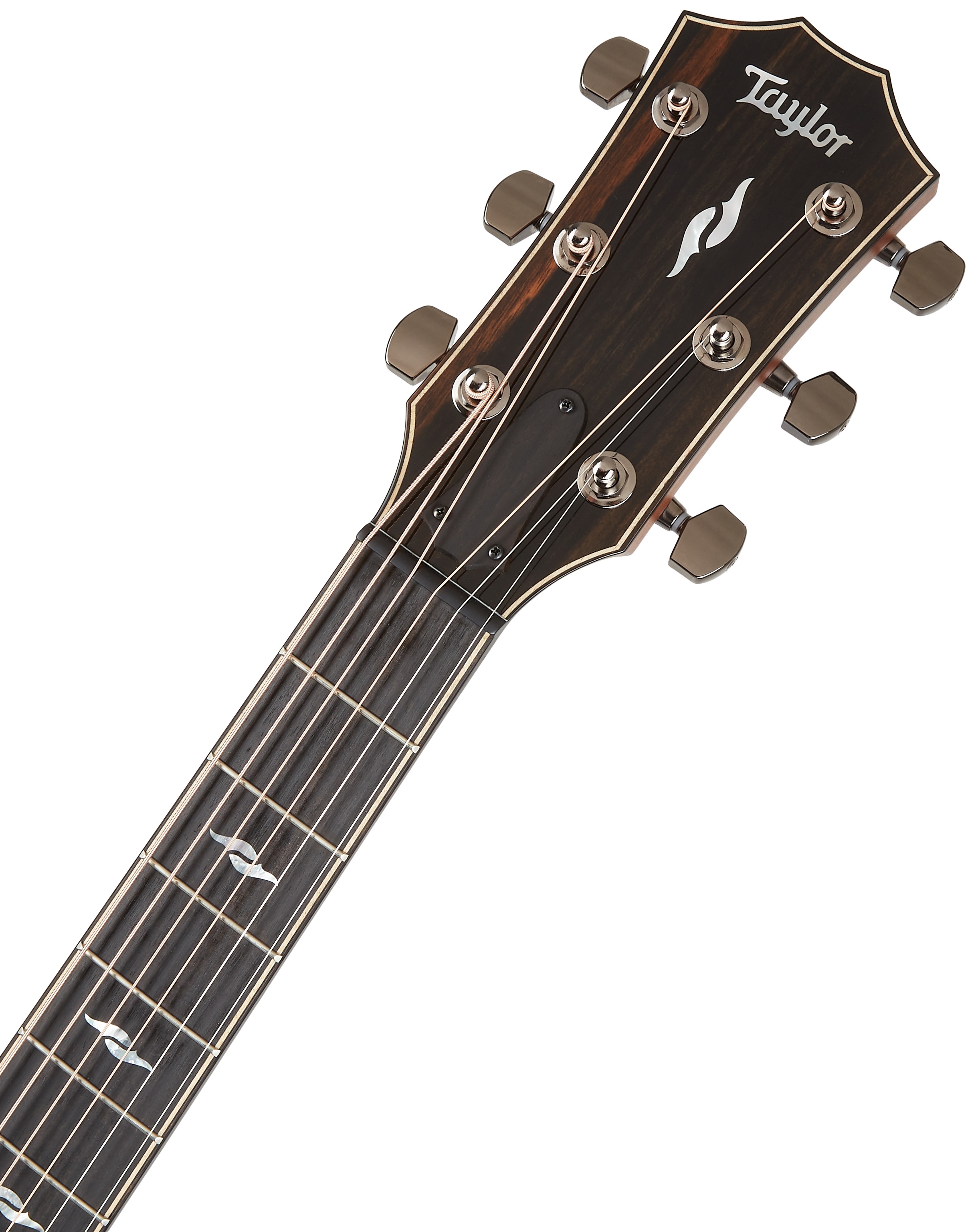 Taylor 812ce (obrázek 5)