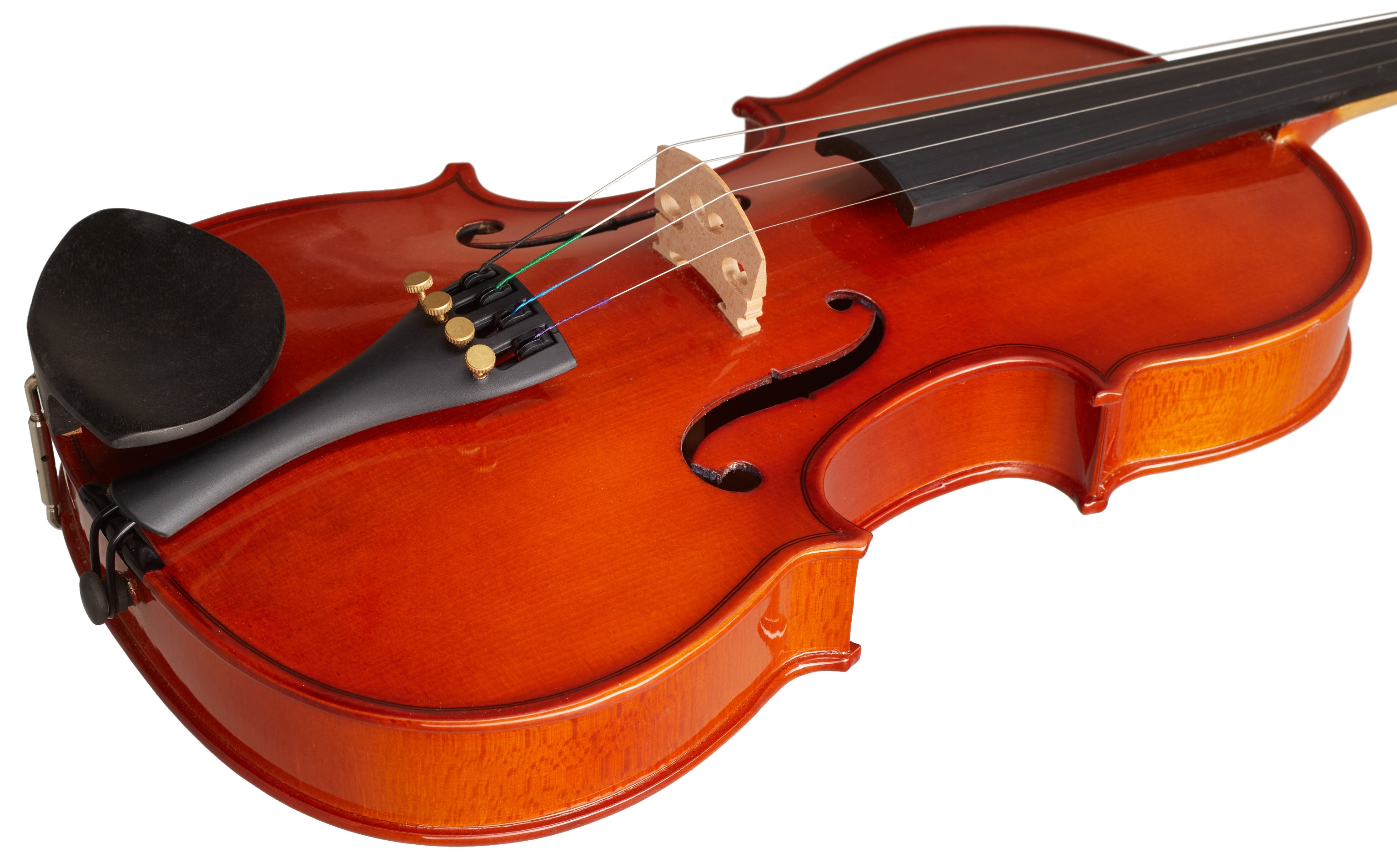Stentor Student 4/4 (obrázek 3)