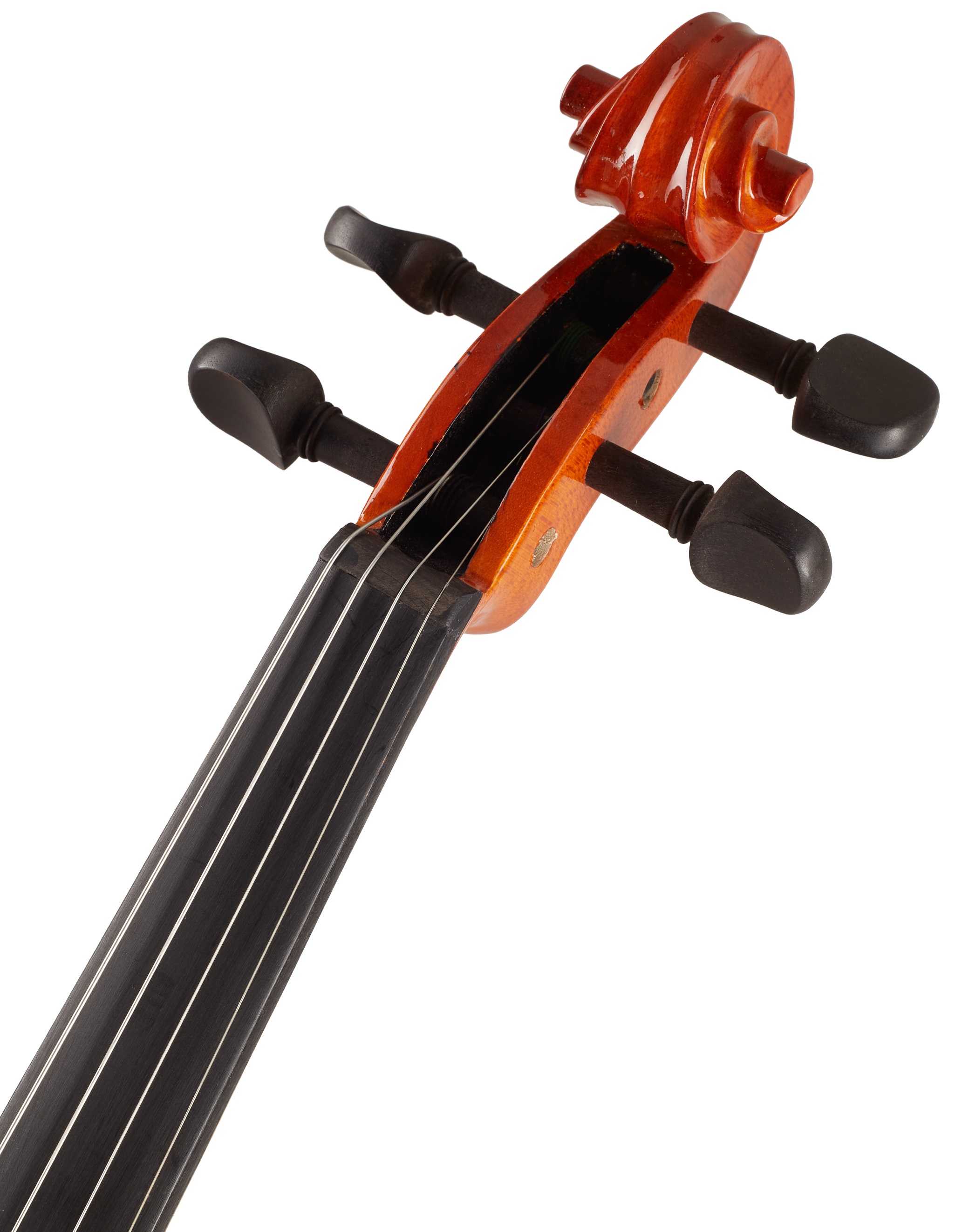 Stentor Student 4/4 (obrázek 5)