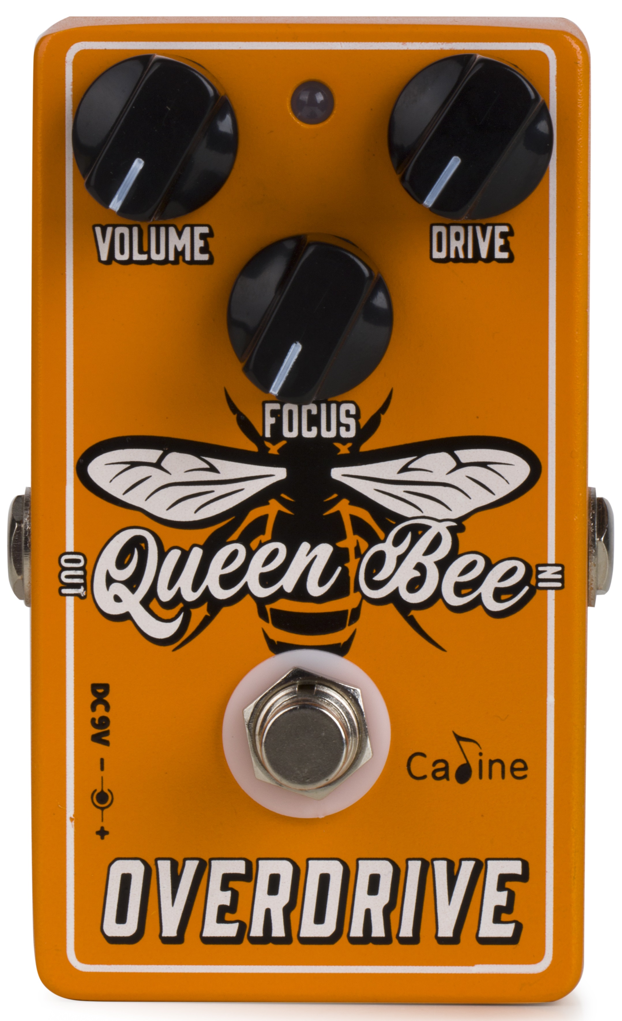Caline CP-503 Queen Bee Overdrive (obrázek 4)