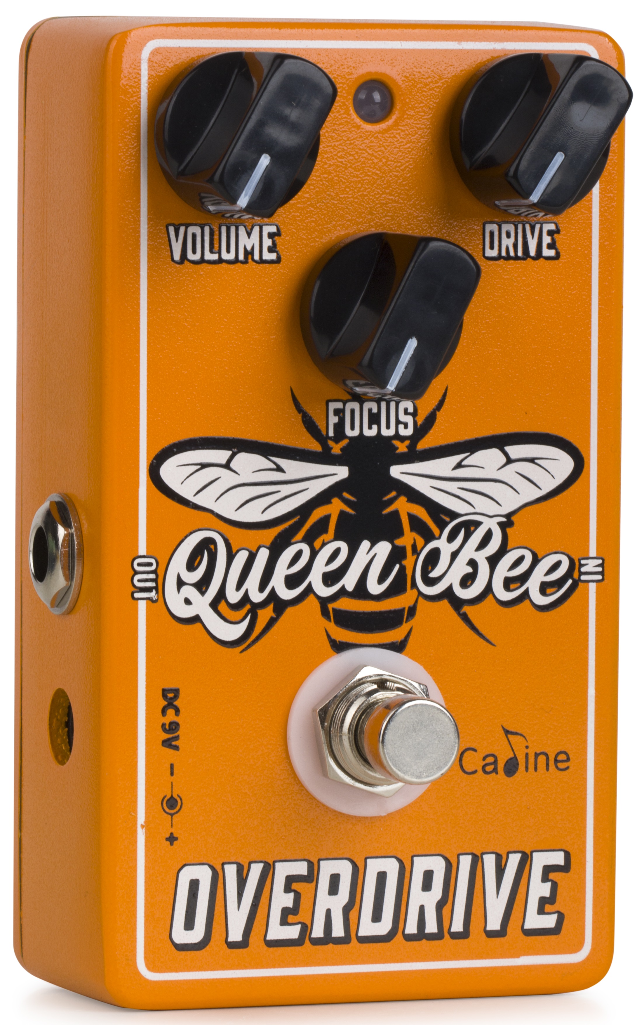 Caline CP-503 Queen Bee Overdrive (obrázek 6)
