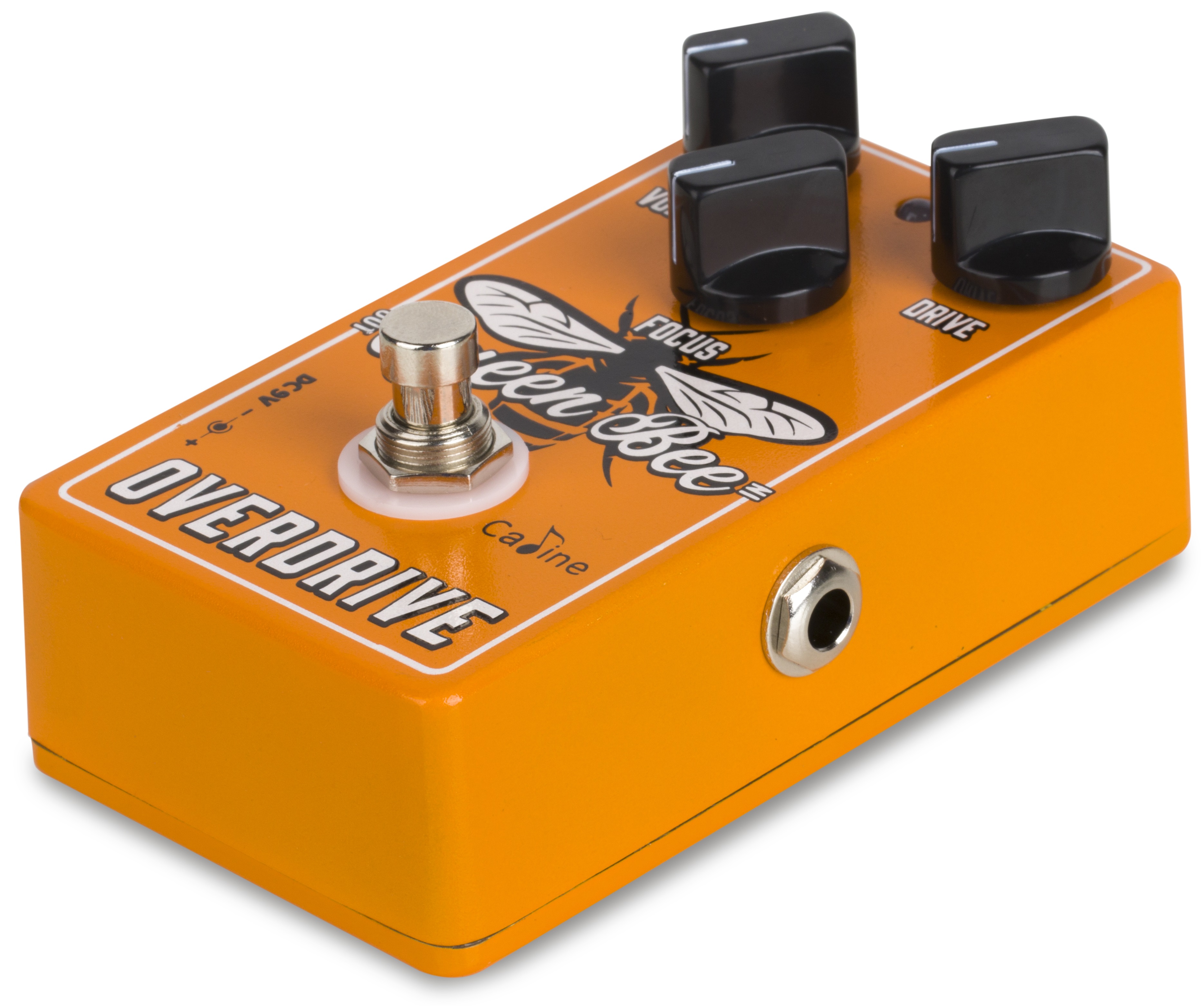 Caline CP-503 Queen Bee Overdrive (obrázek 7)