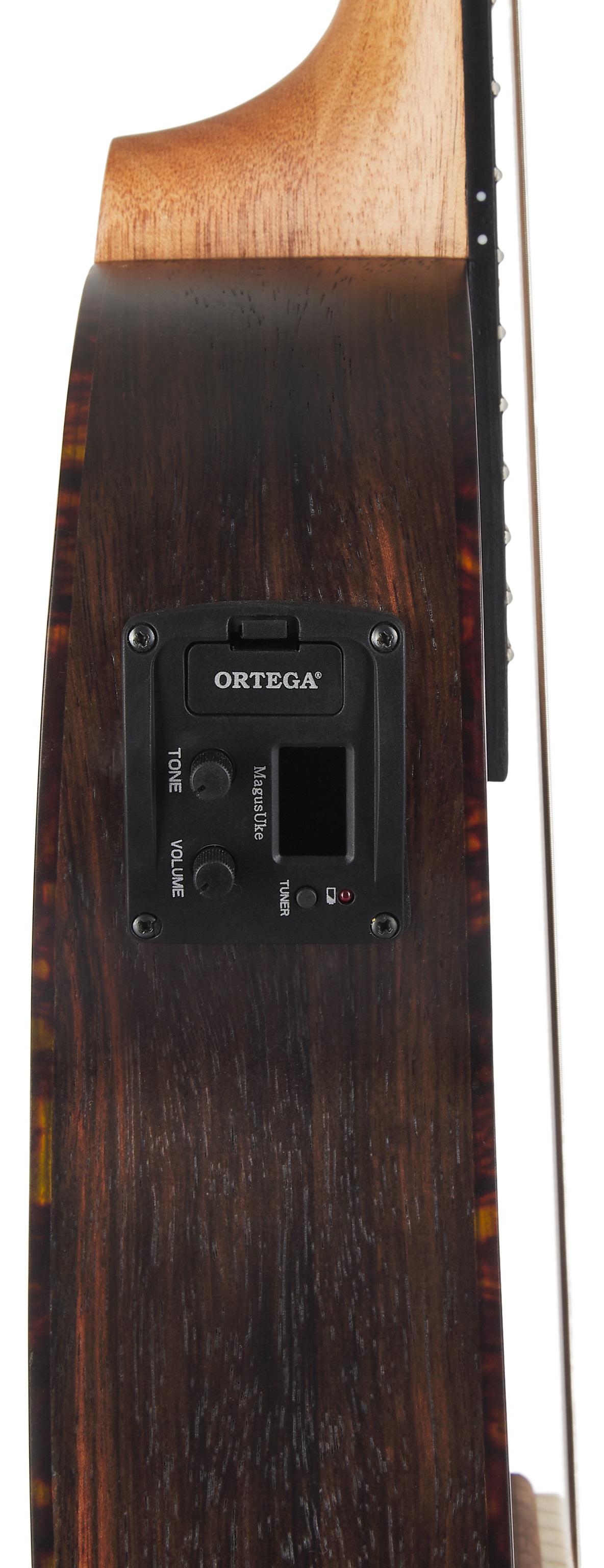 Ortega RGL5EB-CE (obrázek 4)